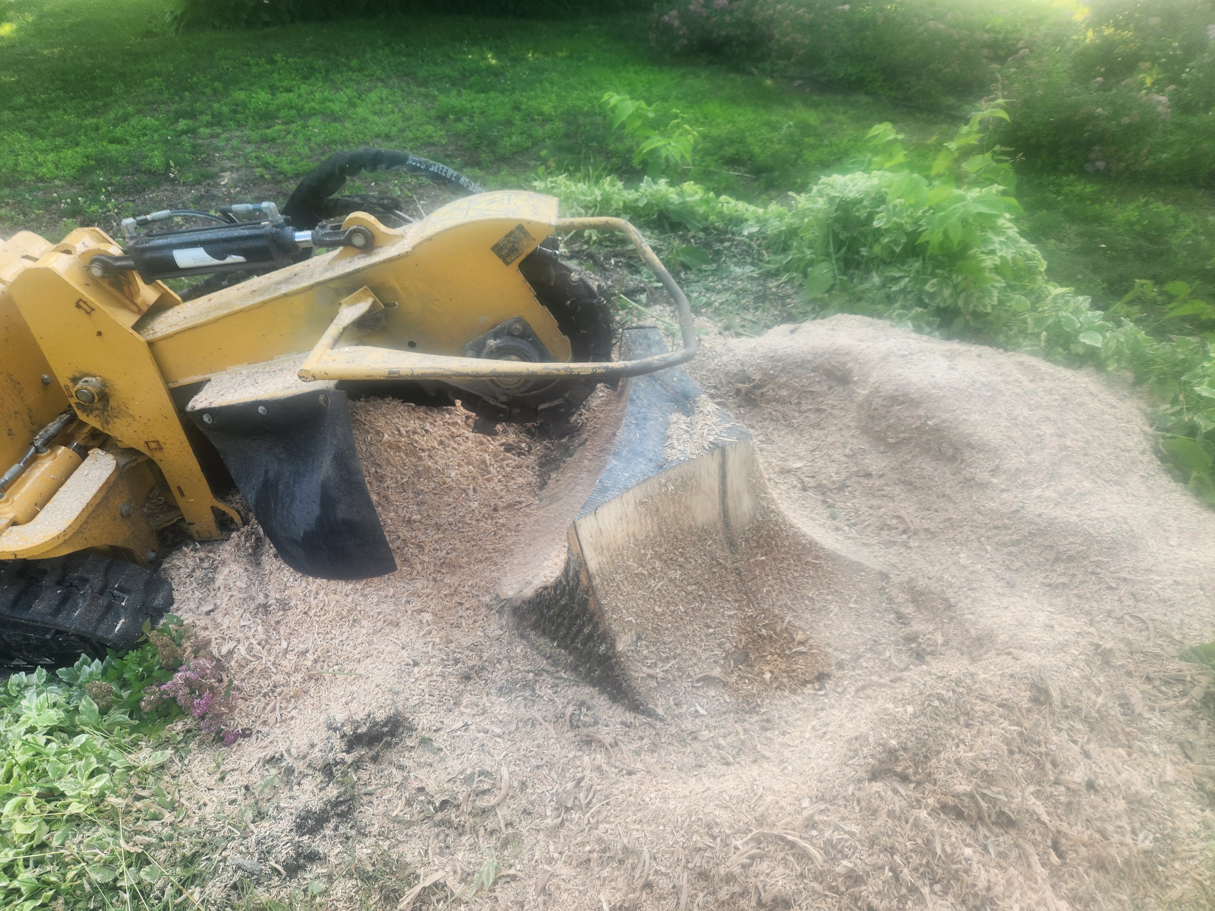 A yellow skid-steer loader with a bucket attachment clearing dirt and debris from a garden area with green bushes and grass.