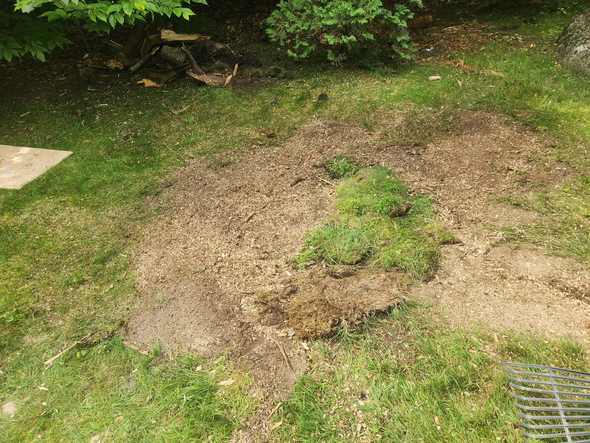 Residential Lawn Stump Grinding