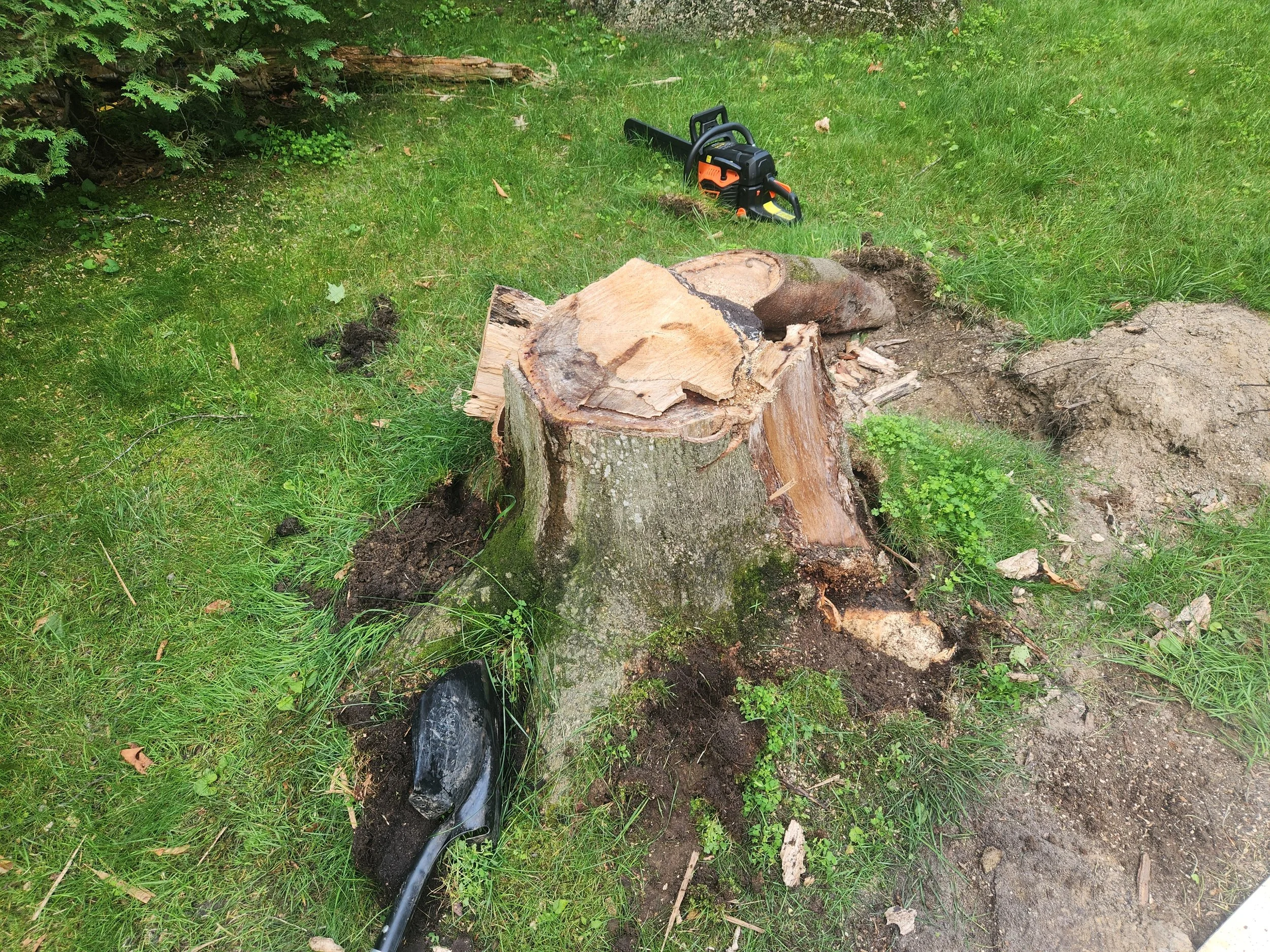 Residential Lawn Stump Grinding