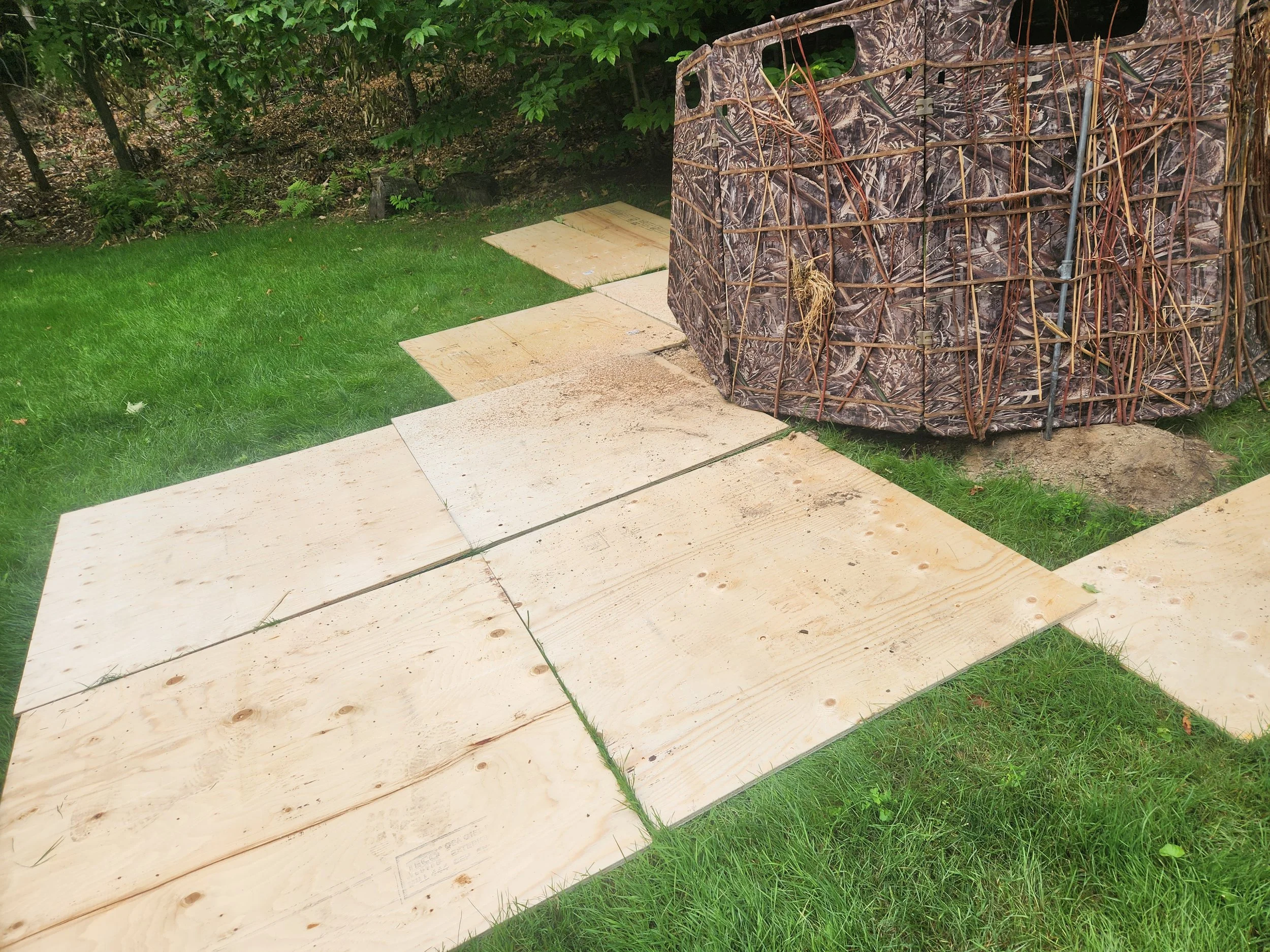 Wooden platform pieces on grass next to a camouflaged hunting blind in a backyard with trees and shrubs.