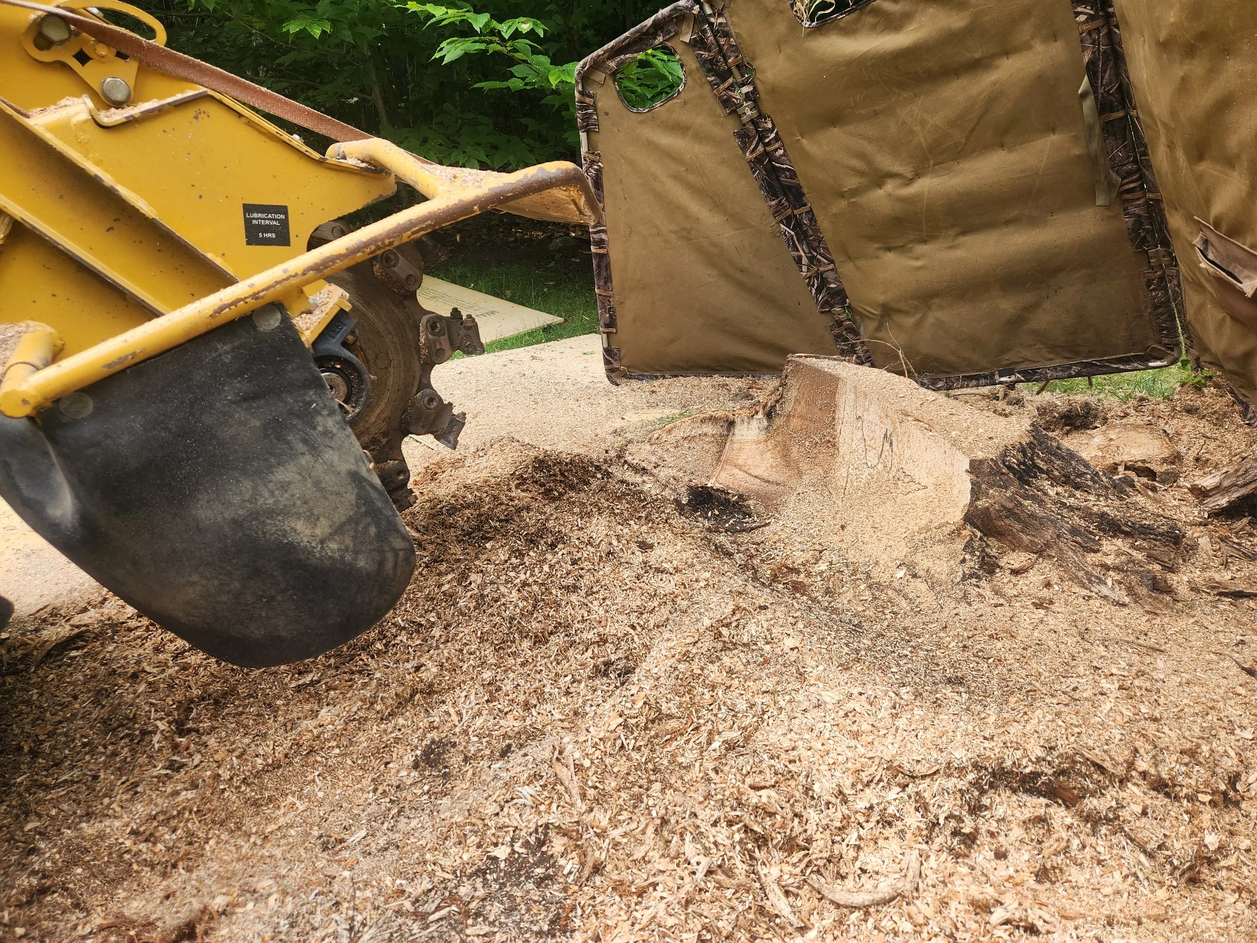 A yellow bulldozer with a worn and rusted blade, working on a pile of chopped wood outdoors, with green foliage in the background.