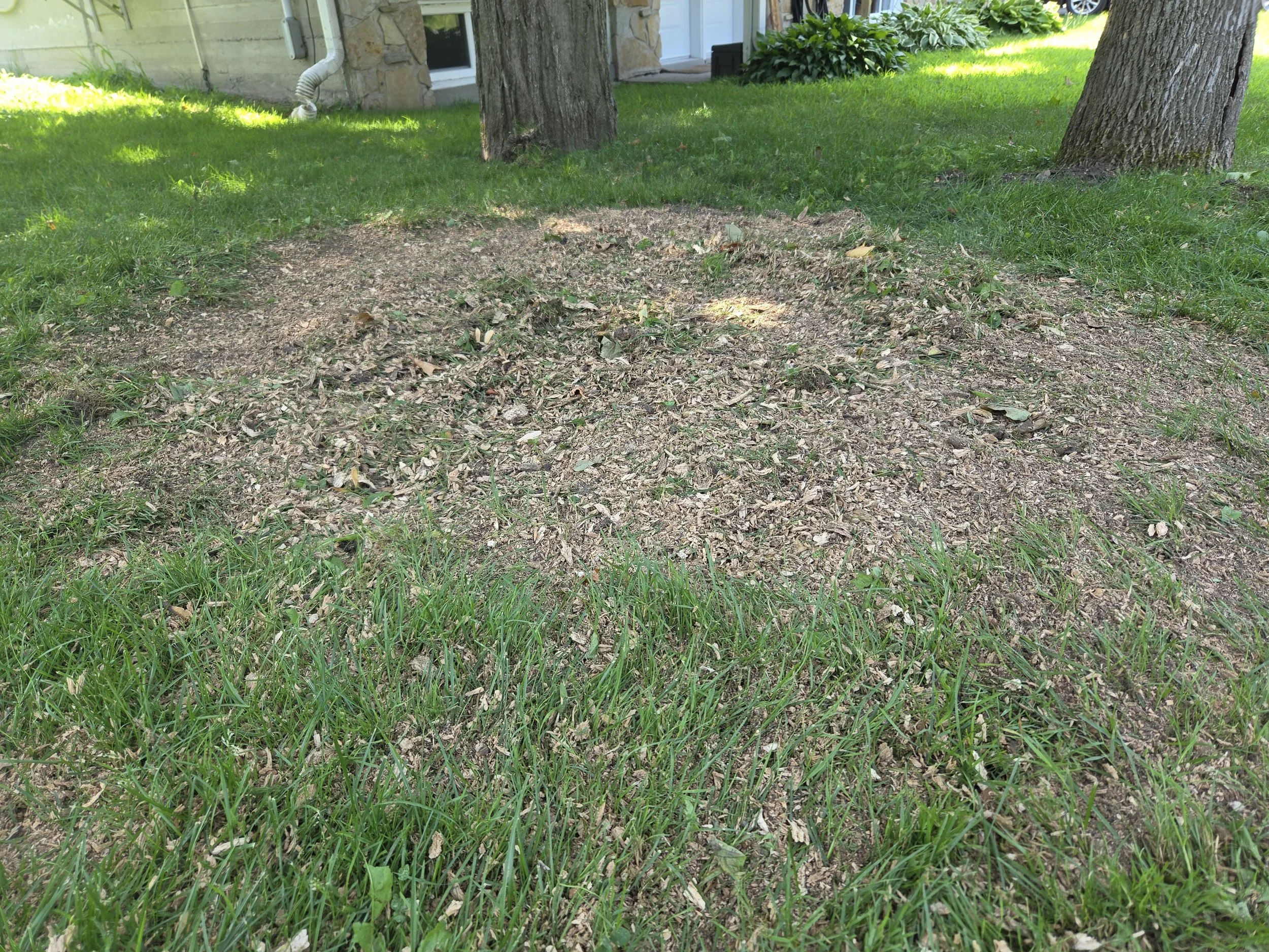 Residential Stump Grinding