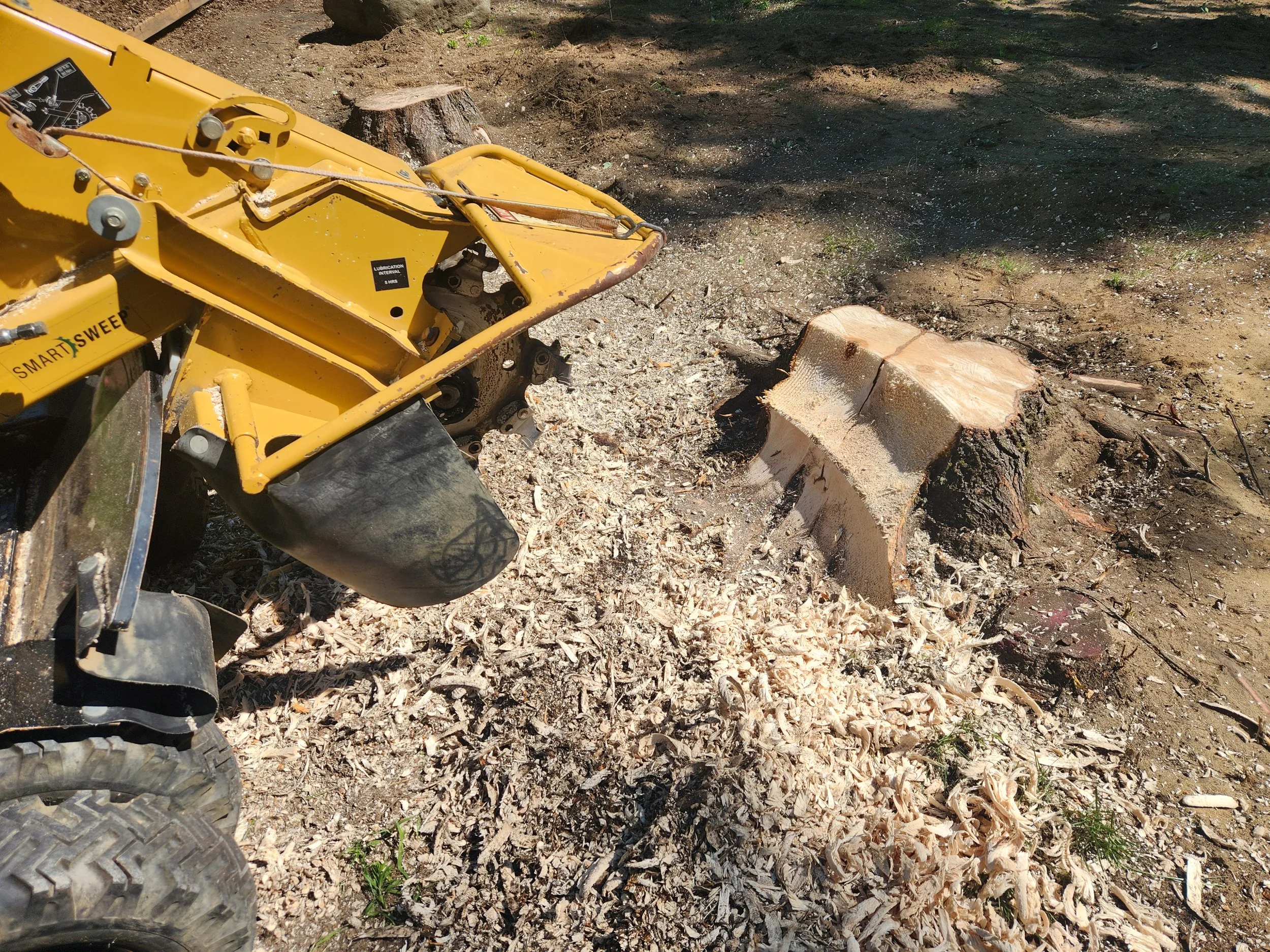 A yellow wood chipper machine cut through a tree trunk on a dirt ground with wood chips scattered around.