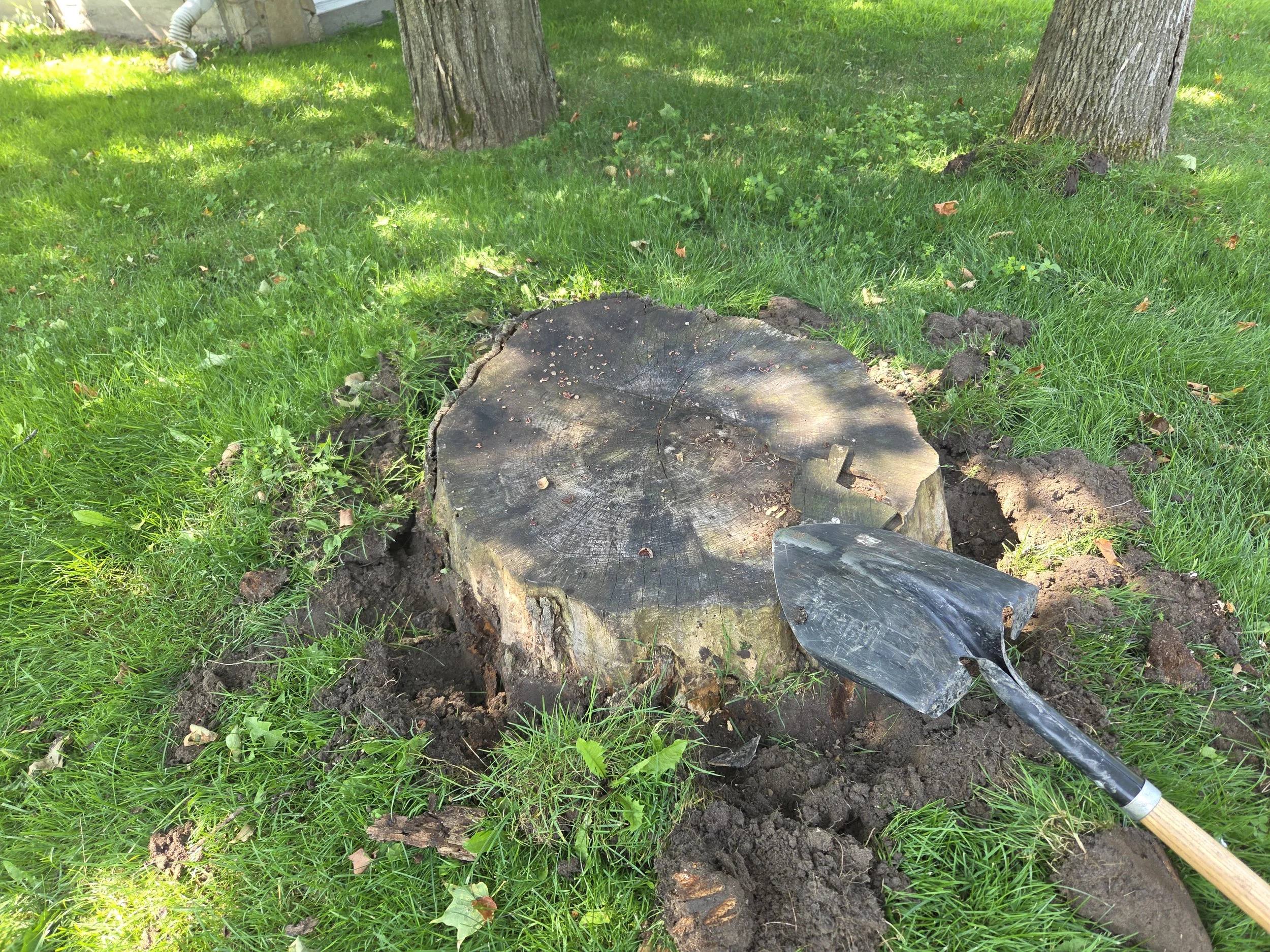 Residential Stump Grinding