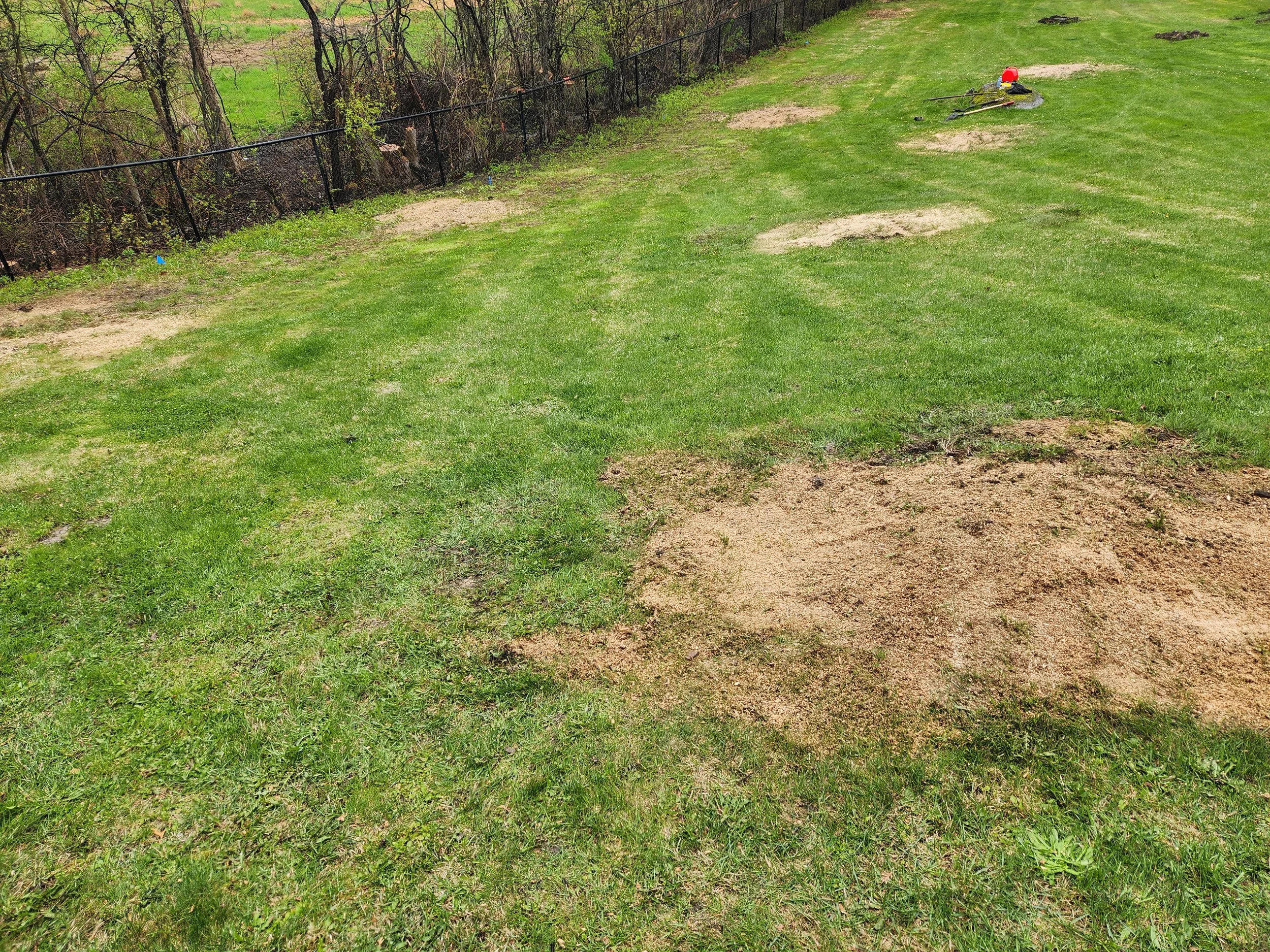 A grassy lawn with patches of dirt and a black metal fence along one side. In the corner, there is a red gas can, some gardening tools, and small water puddles.