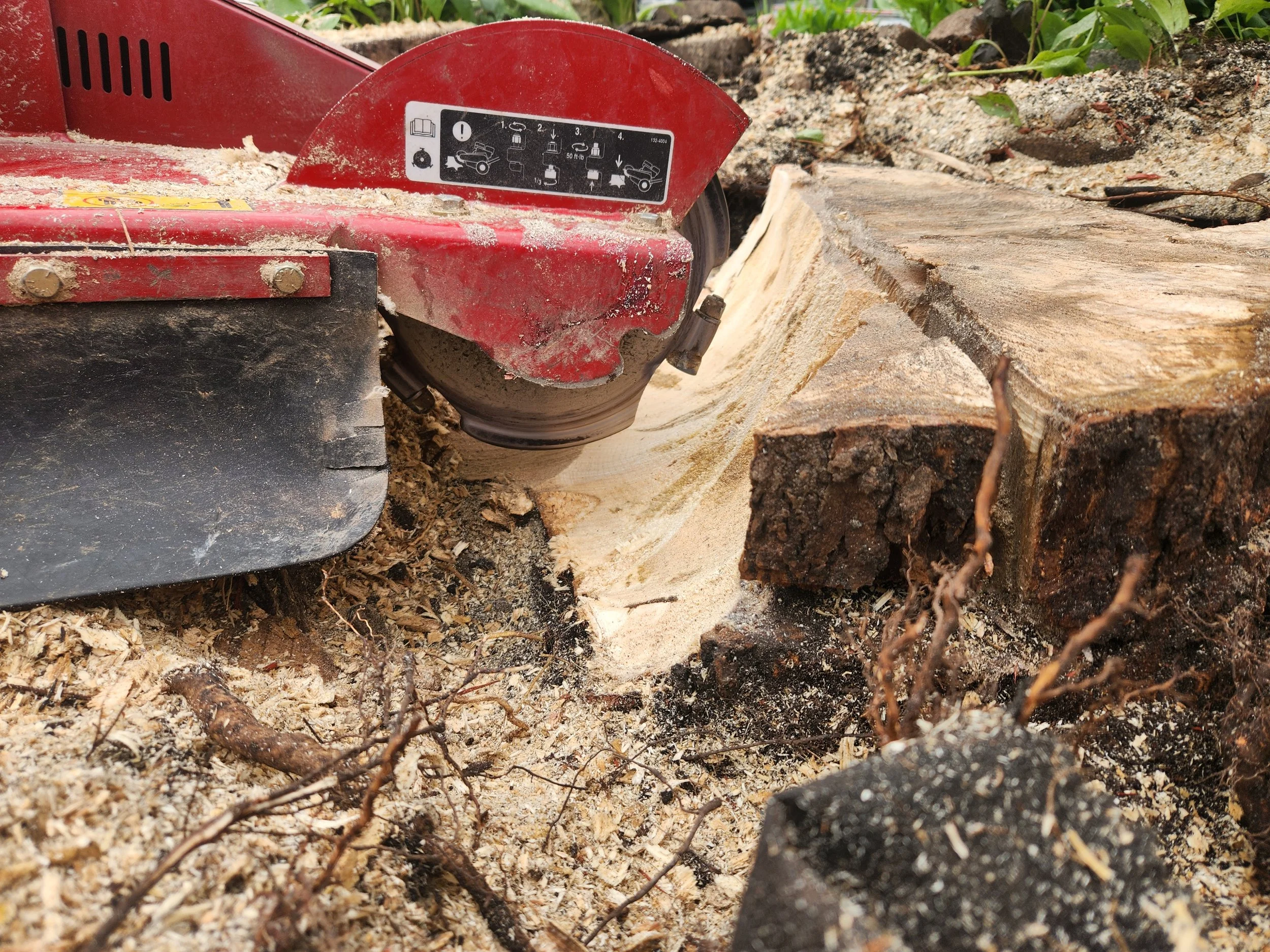 A red wood cutting machine with instructional labels is cutting through a log, surrounded by wood debris and soil.