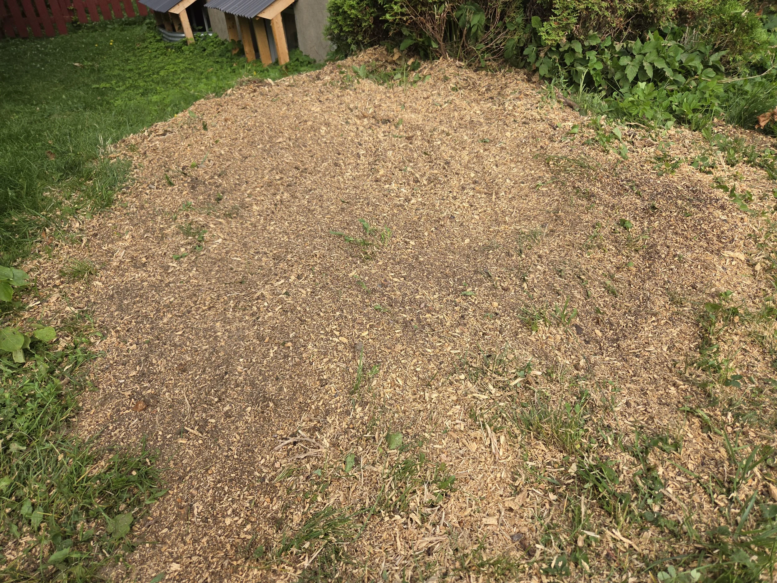 Stump Grinding in a Landscaped Area