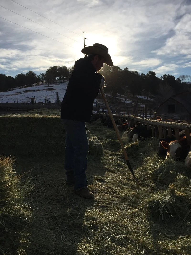 Early Morning Chores