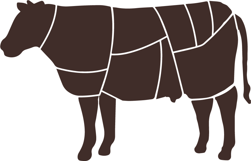 Illustration of a horse with sections highlighting its muscular structure