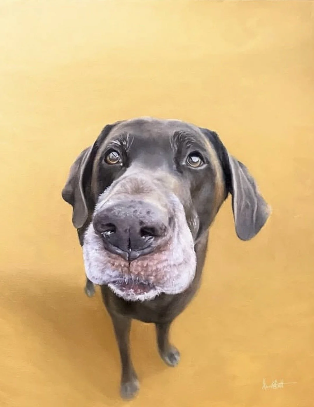 Close-up of a dog looking up with a curious expression, standing on a yellow floor.