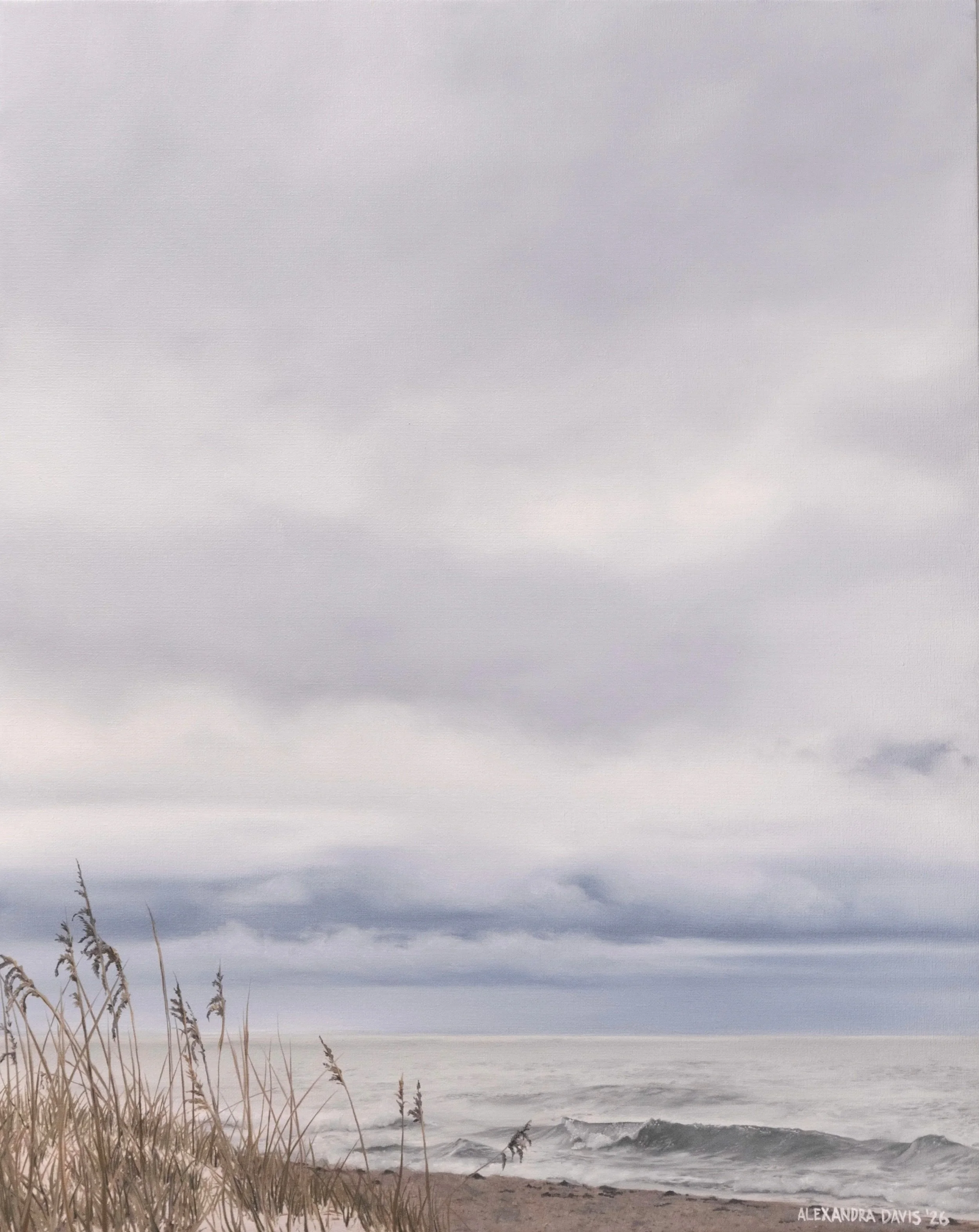 Carolina+Overcast.jpg