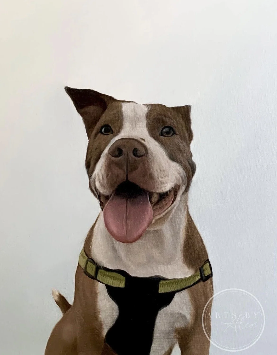 A smiling brown and white dog with its tongue out, wearing a green collar, against a white background.