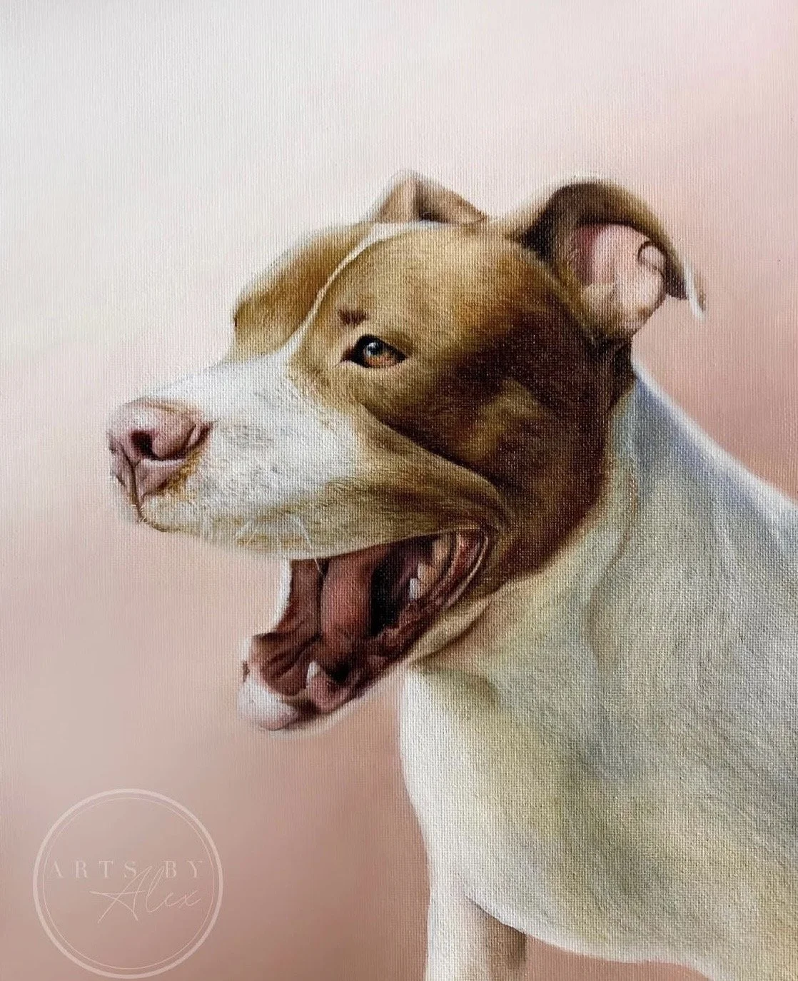 Close-up of a dog with a unique face, half white and half brown, showing yawning expression against a pink background.