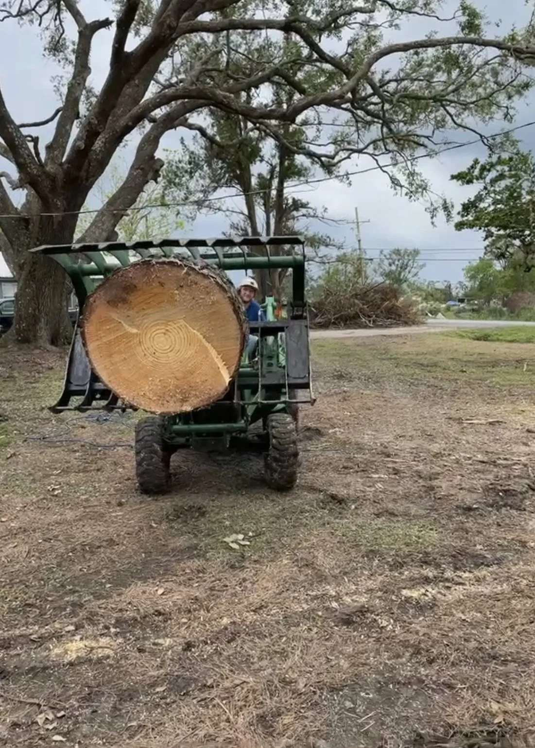 A small green vehicle carrying a large cut tree trunk on its front, with a person sitting behind the trunk, in an outdoor setting with trees and power lines in the background.