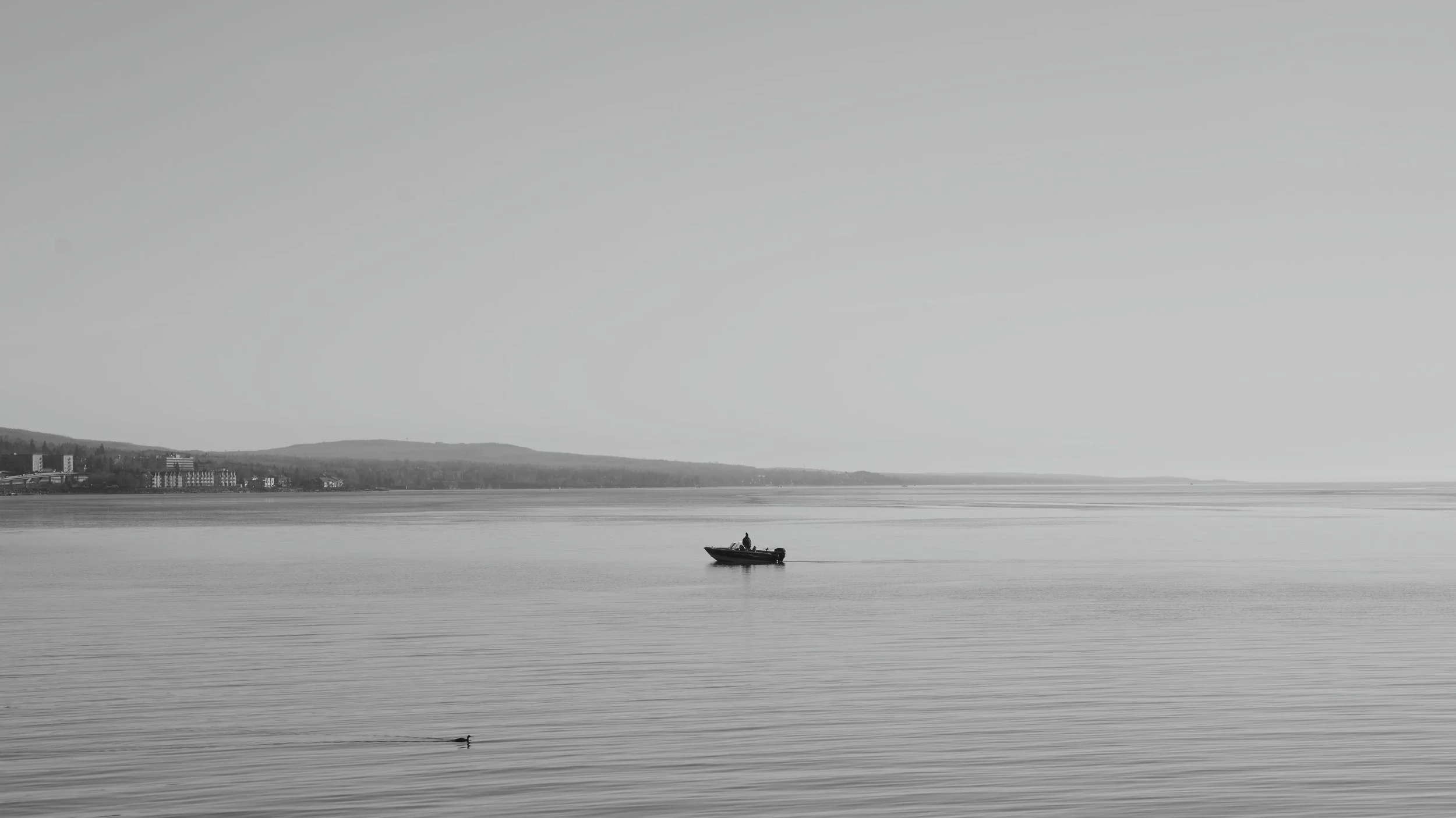 BLACK AND WHITE_4.2.2.jpg