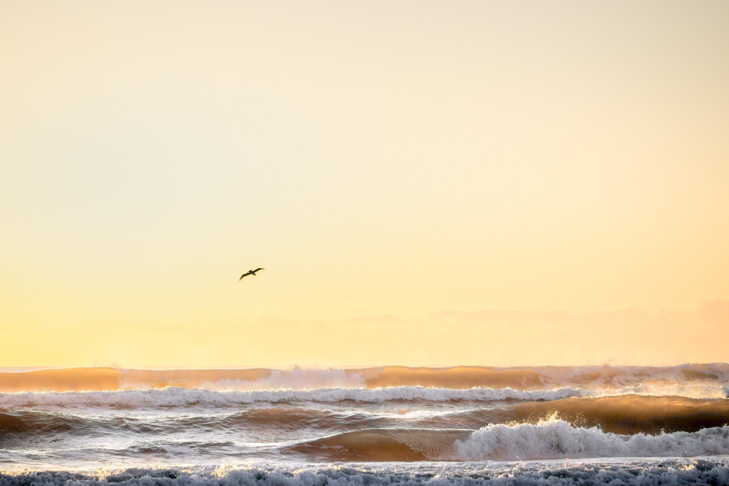 The Seagull's Gradient
