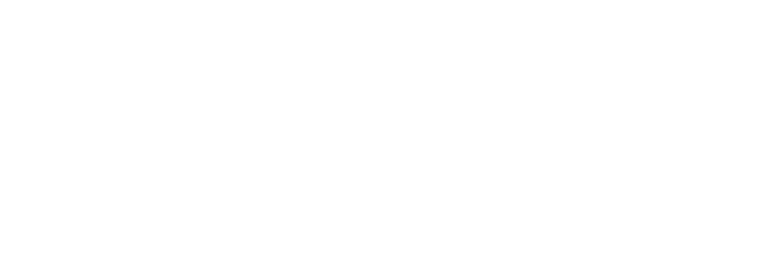Vote Rev Action Fund