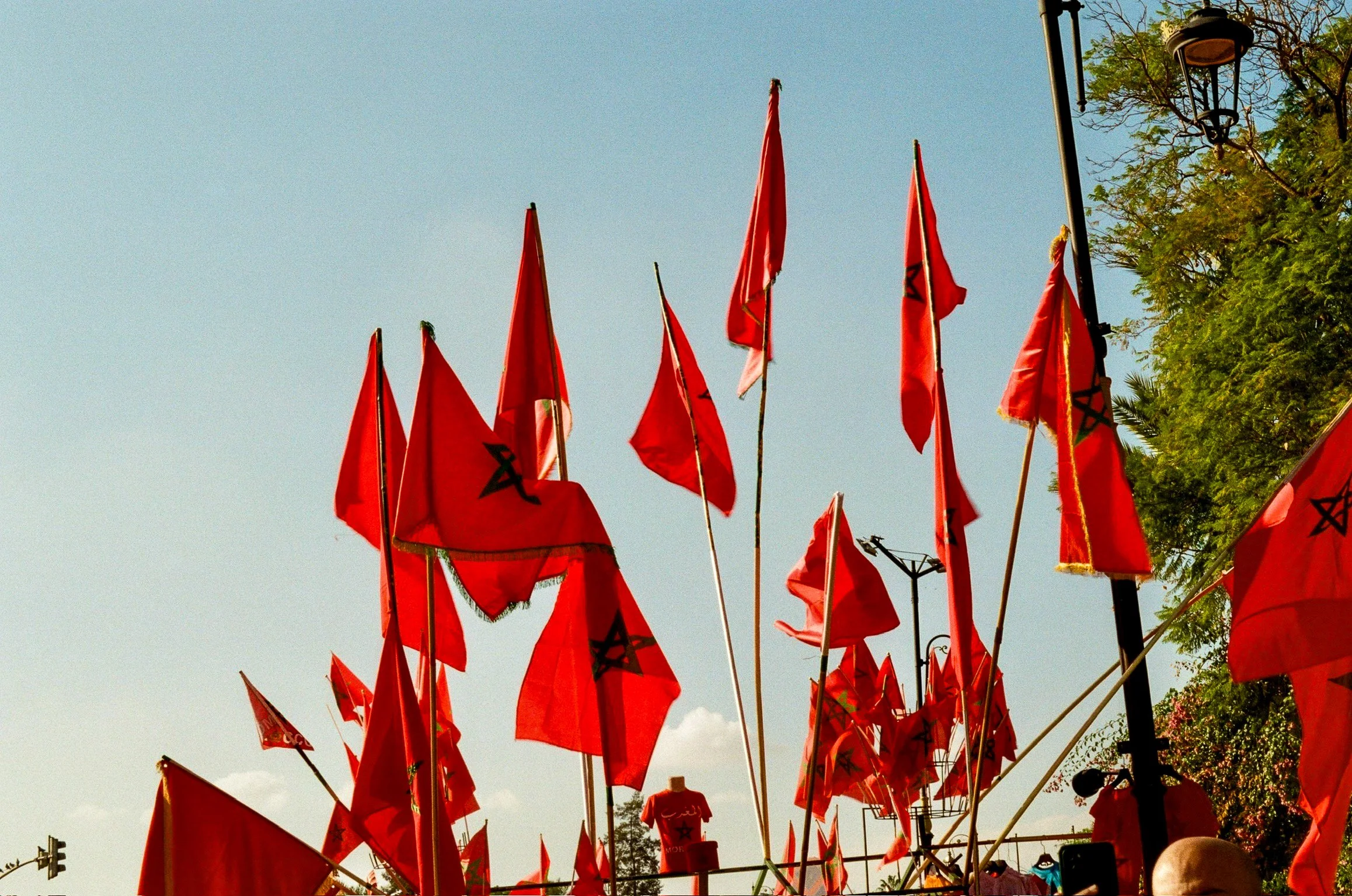 A group of red flags with black stars and Arabic writing mounted on poles, waving in the wind against a blue sky with some clouds, with trees and street signs in the background.