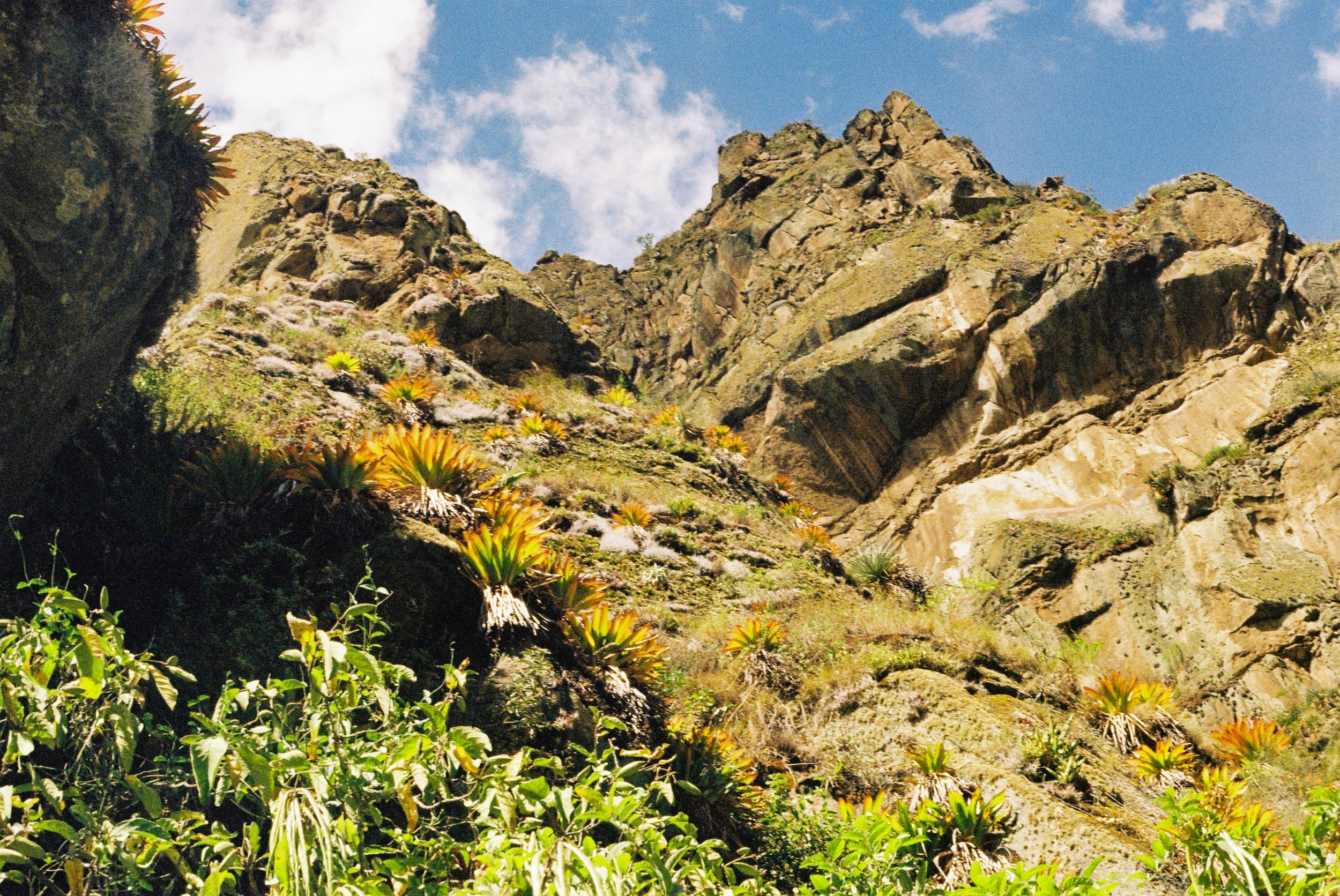 Queen of the Andes