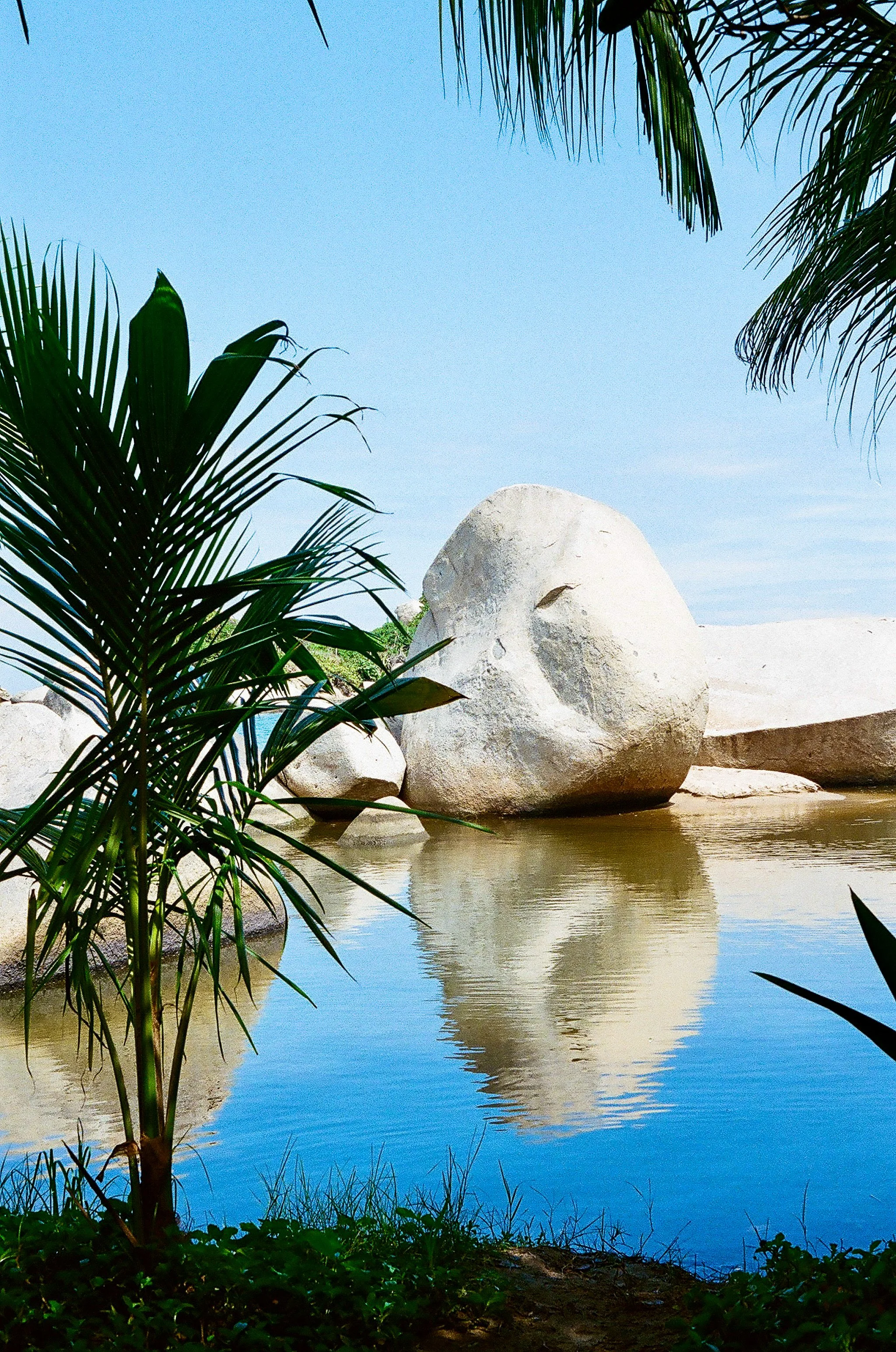 Between the Palms