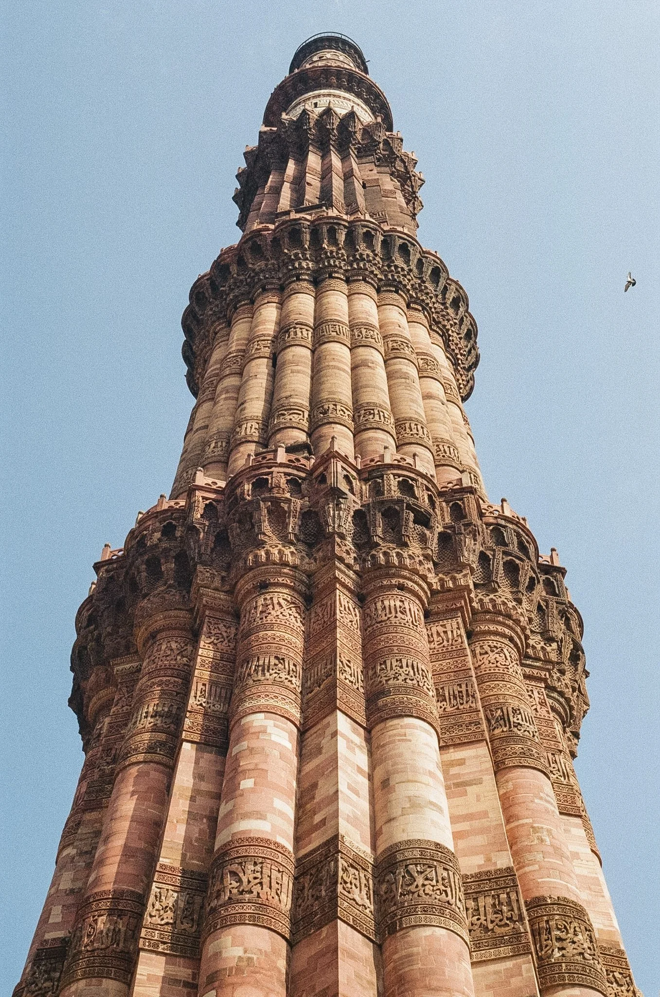 Looking Up