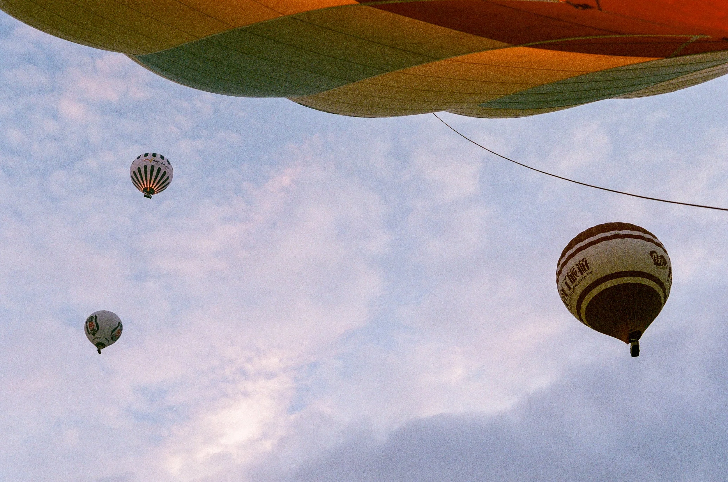 Beneath the Balloons