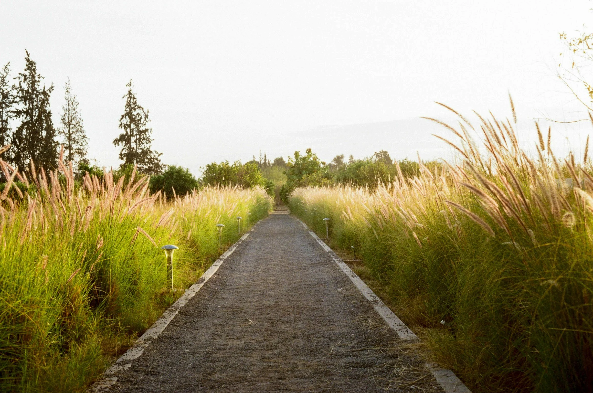 Garden Path