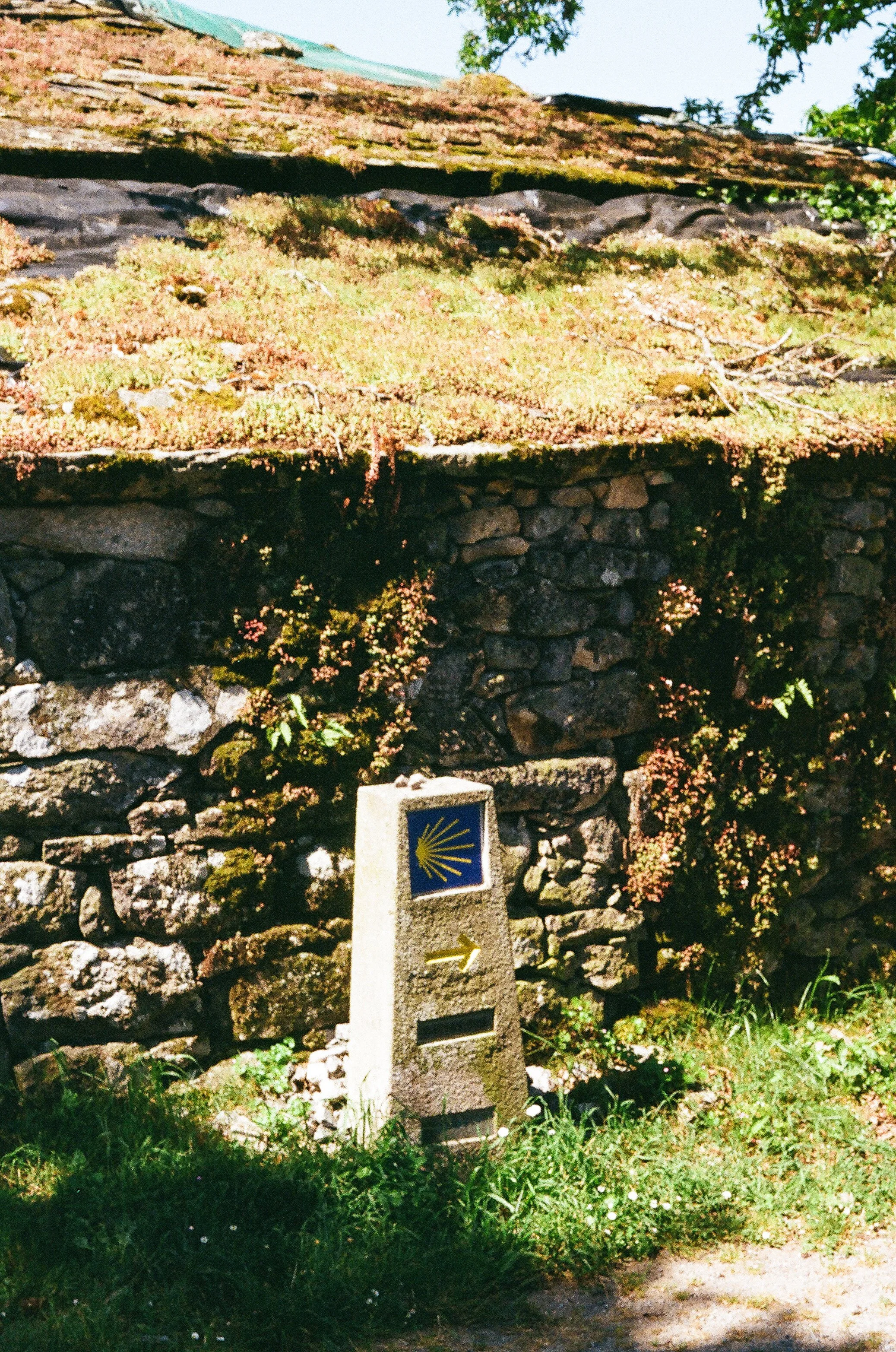 Stone monument marker with yellow arrow and blue shell symbol, surrounded by green grass and plants, against a stone wall and lush trees.