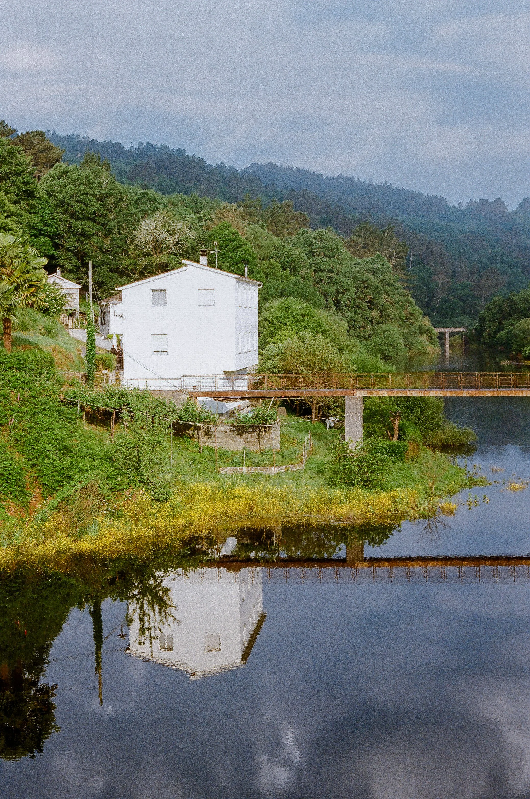 Reflections Along the Camino