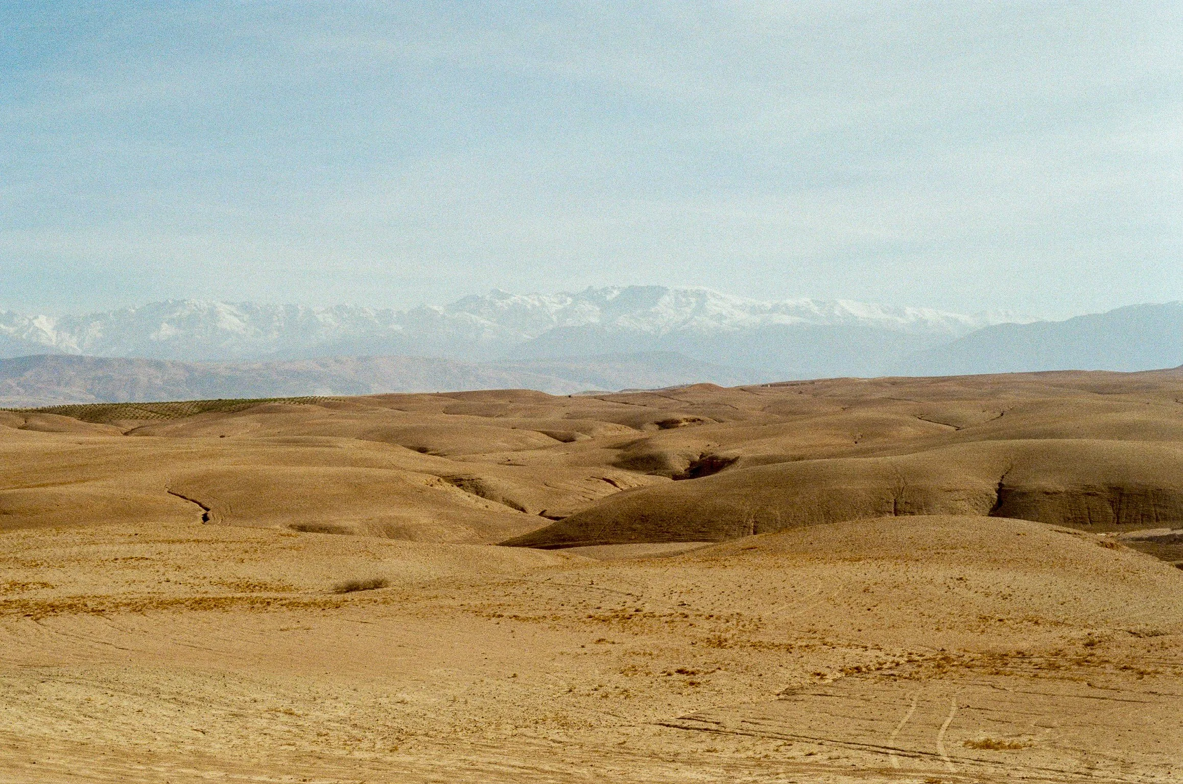 A landscape of rolling sandy dunes in the foreground with snow-capped mountains and a clear blue sky in the background.