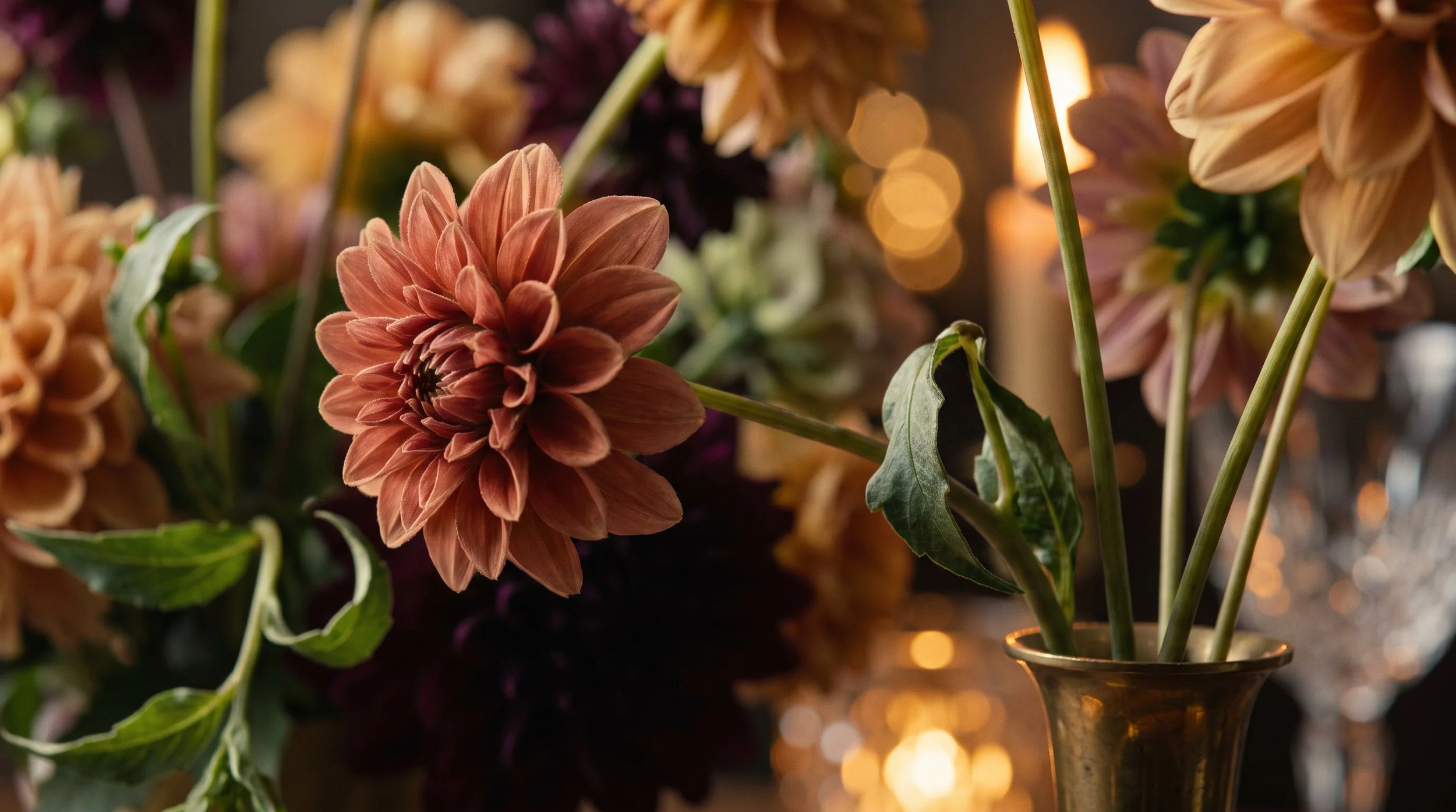 Close-up of pink and peach dahlias in a vase with warm lighting and blurred background.