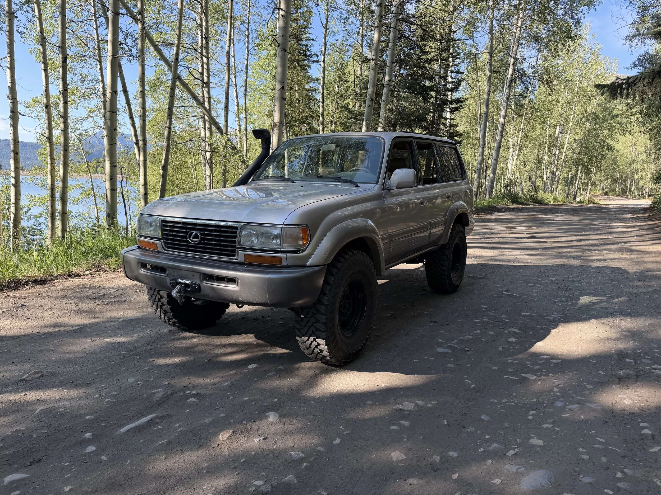 A silver Lexus SUV parked on a dirt trail surrounded by tall birch trees with green leaves, near a lake with mountains in the background, under a blue sky.