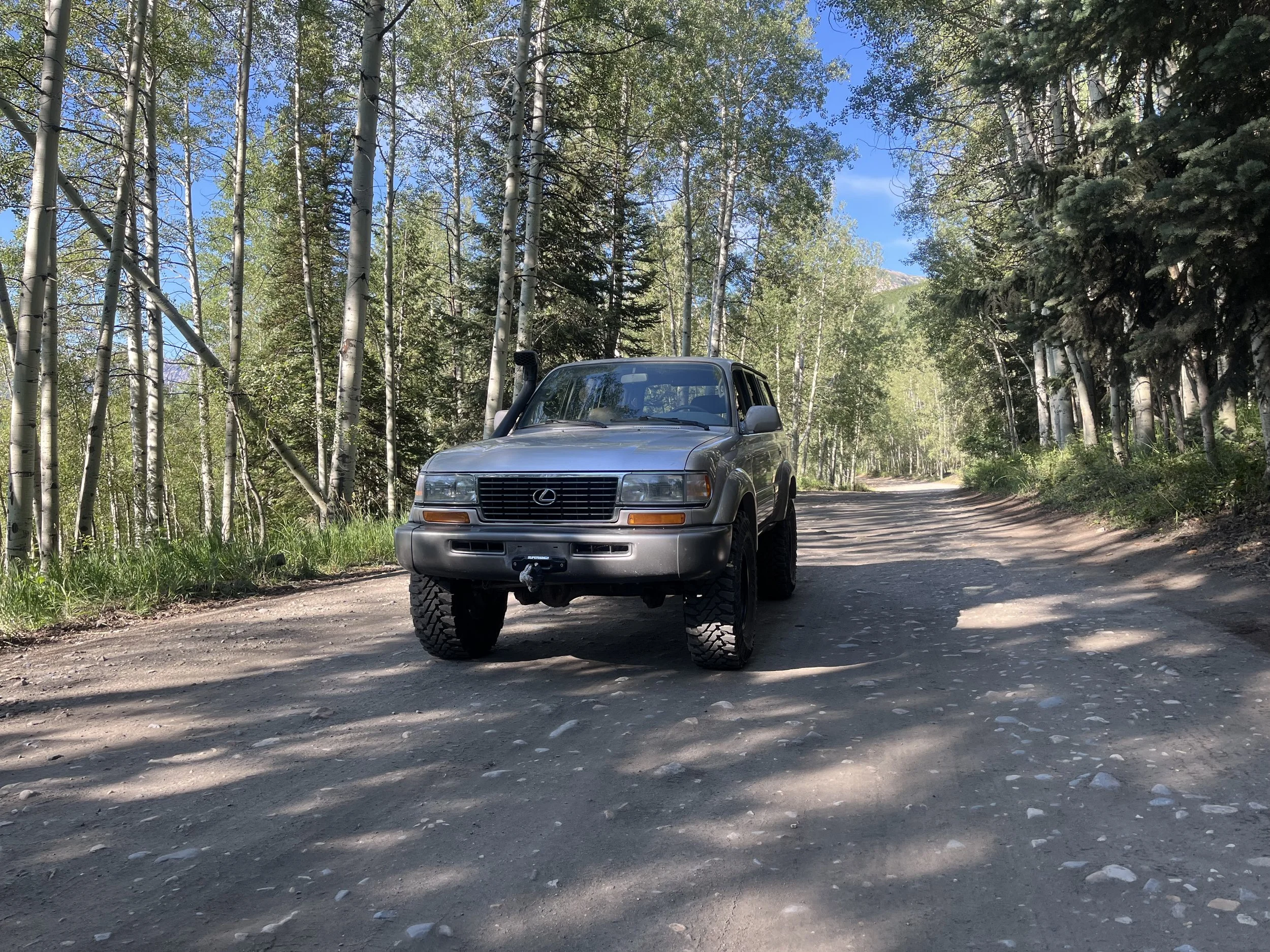 A silver Lexus SUV parked on a dirt road surrounded by a forest of tall aspen and pine trees with blue sky above.
