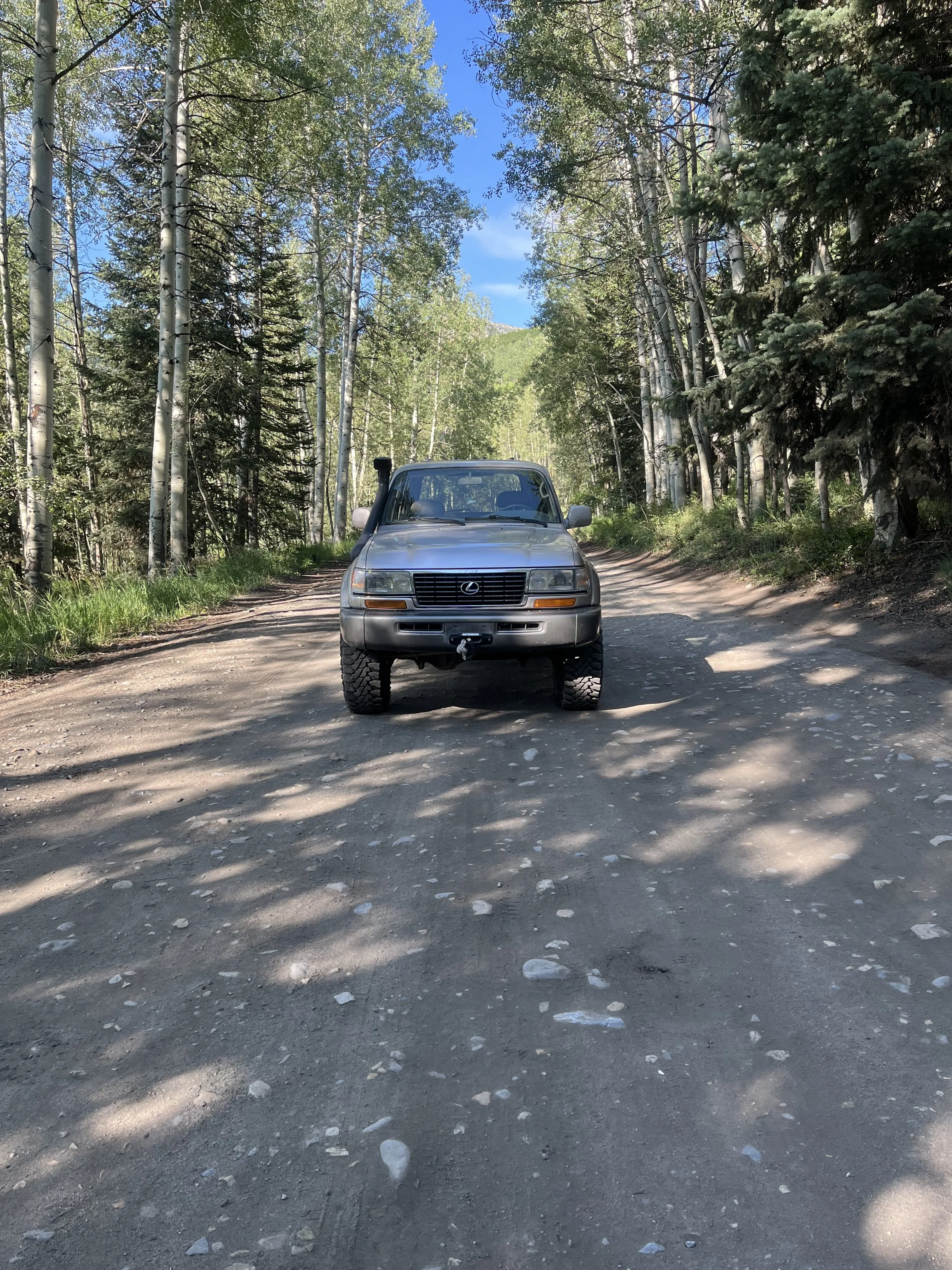 A silver Lexus SUV parked on a dirt road in a forested area with tall trees and a clear blue sky overhead.