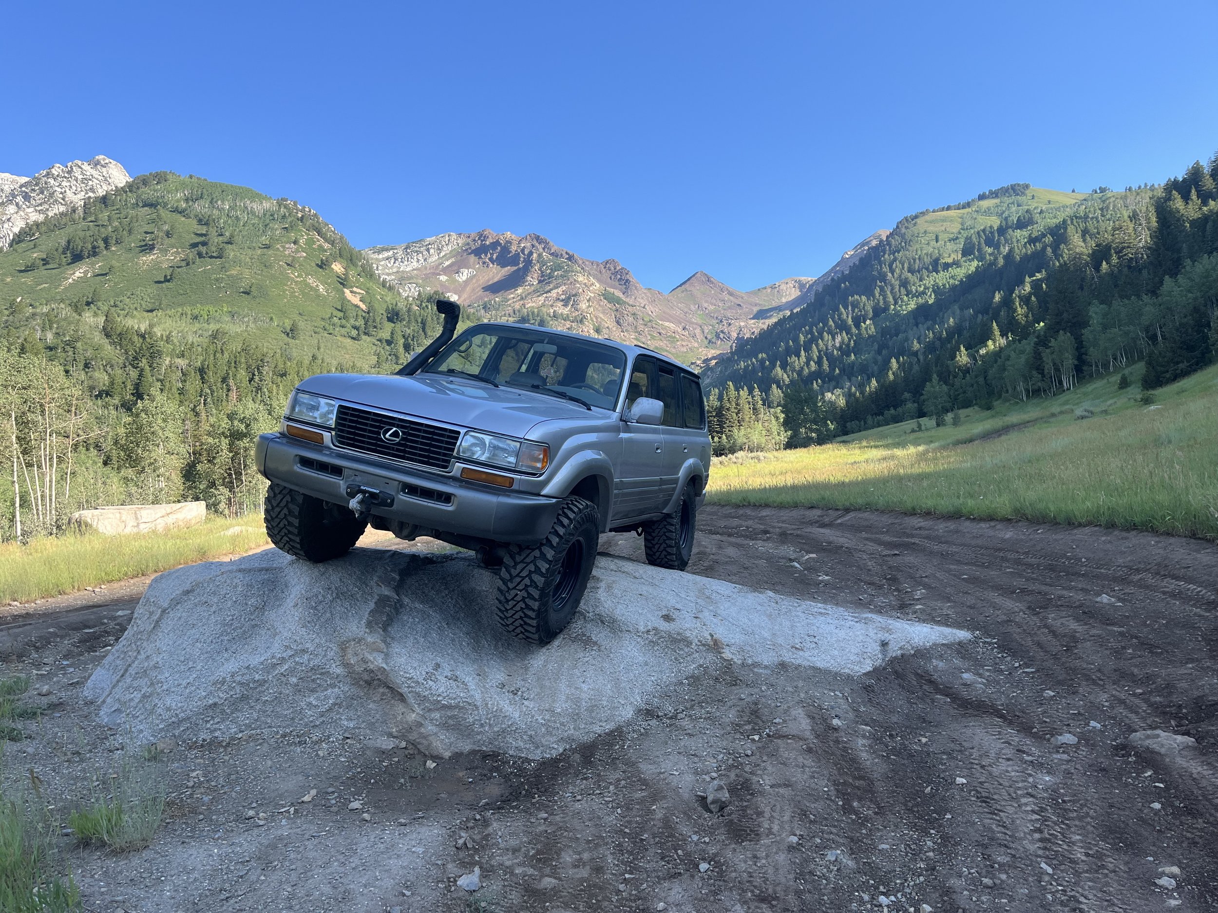 A silver Lexus SUV with large off-road tires is parked on top of a large rock in a mountainous area with lush green trees and grass, under a clear blue sky.