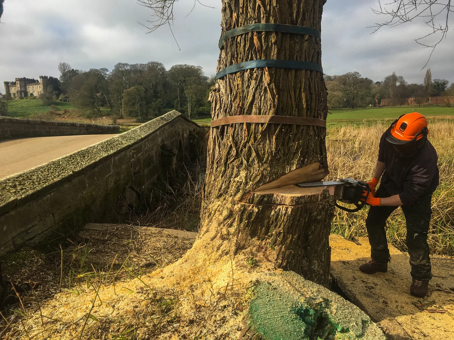 RTS Countryside land management work
