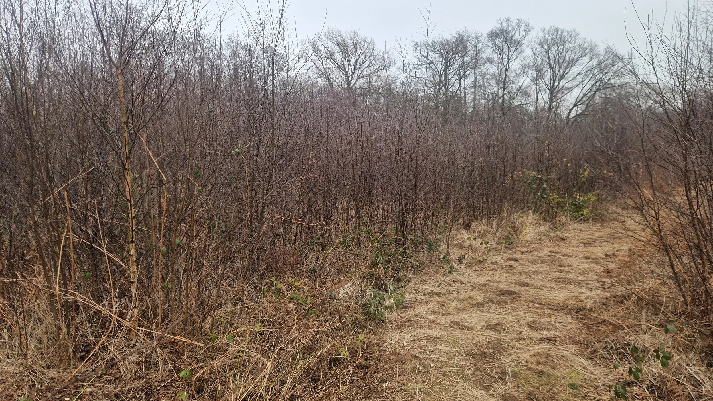 Conservation work within a rural habitat