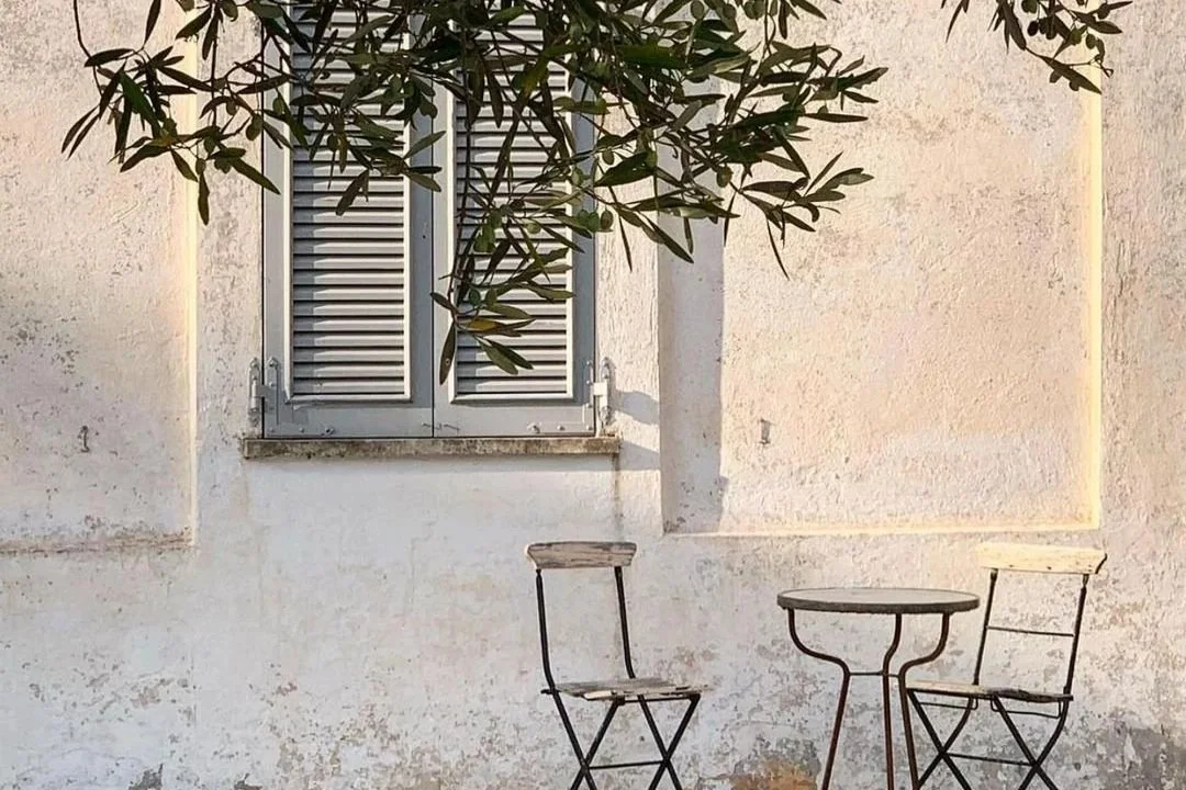 Outdoor scene with an olive tree and a small metal table with two chairs eviking mediterranean summer