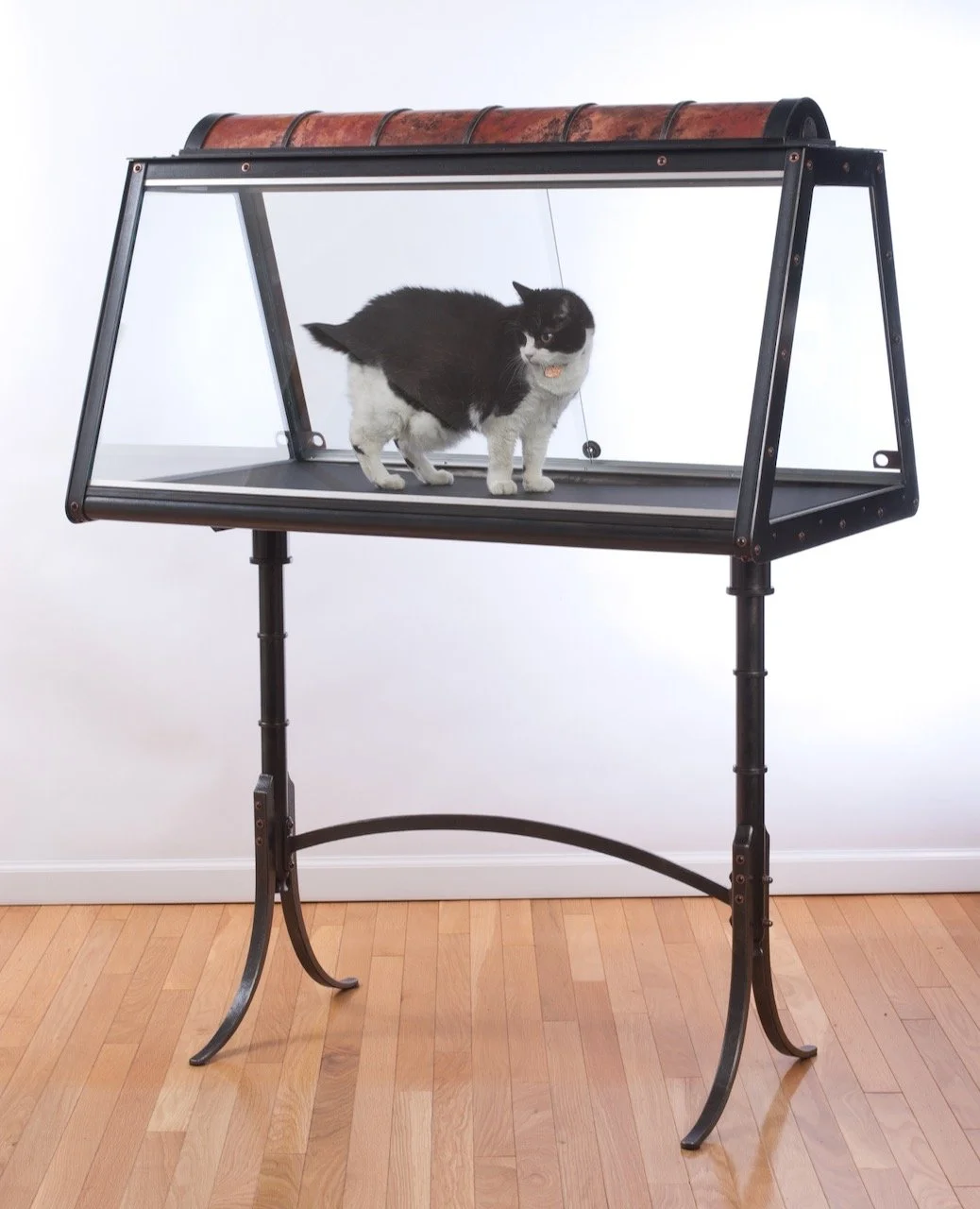 Forged iron and copper steampunk display cases with glass