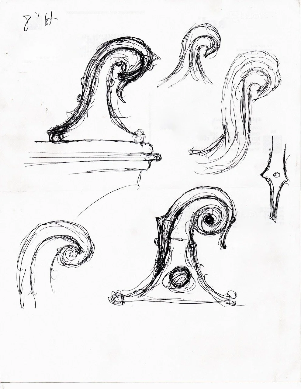 Sketches of decorative architectural scrolls and ornamentation, including five different designs and a detailed motif.
