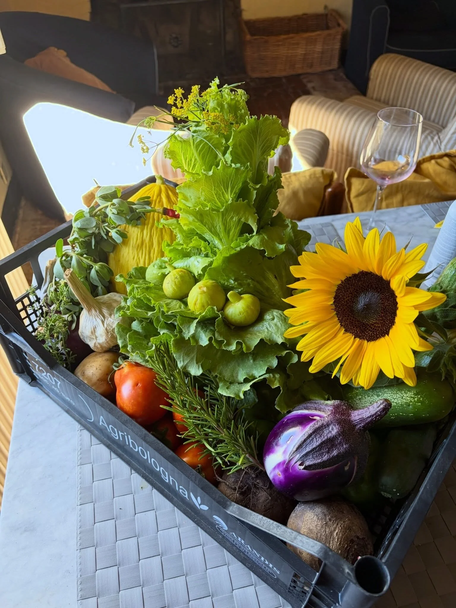 I recently had the pleasure of staying at magical @tenutadispannocchia , a 1100 acre regenerative organic farm nestled in the beautiful hills of Tuscany. This property is completely self sustaining, the organic produce served is grown on the property
