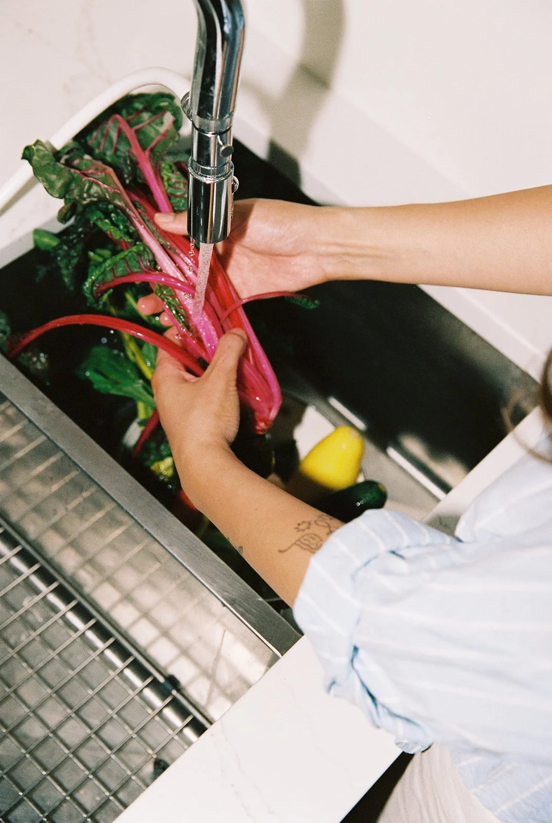 Person washing colorful Swiss chard in kitchen sink.