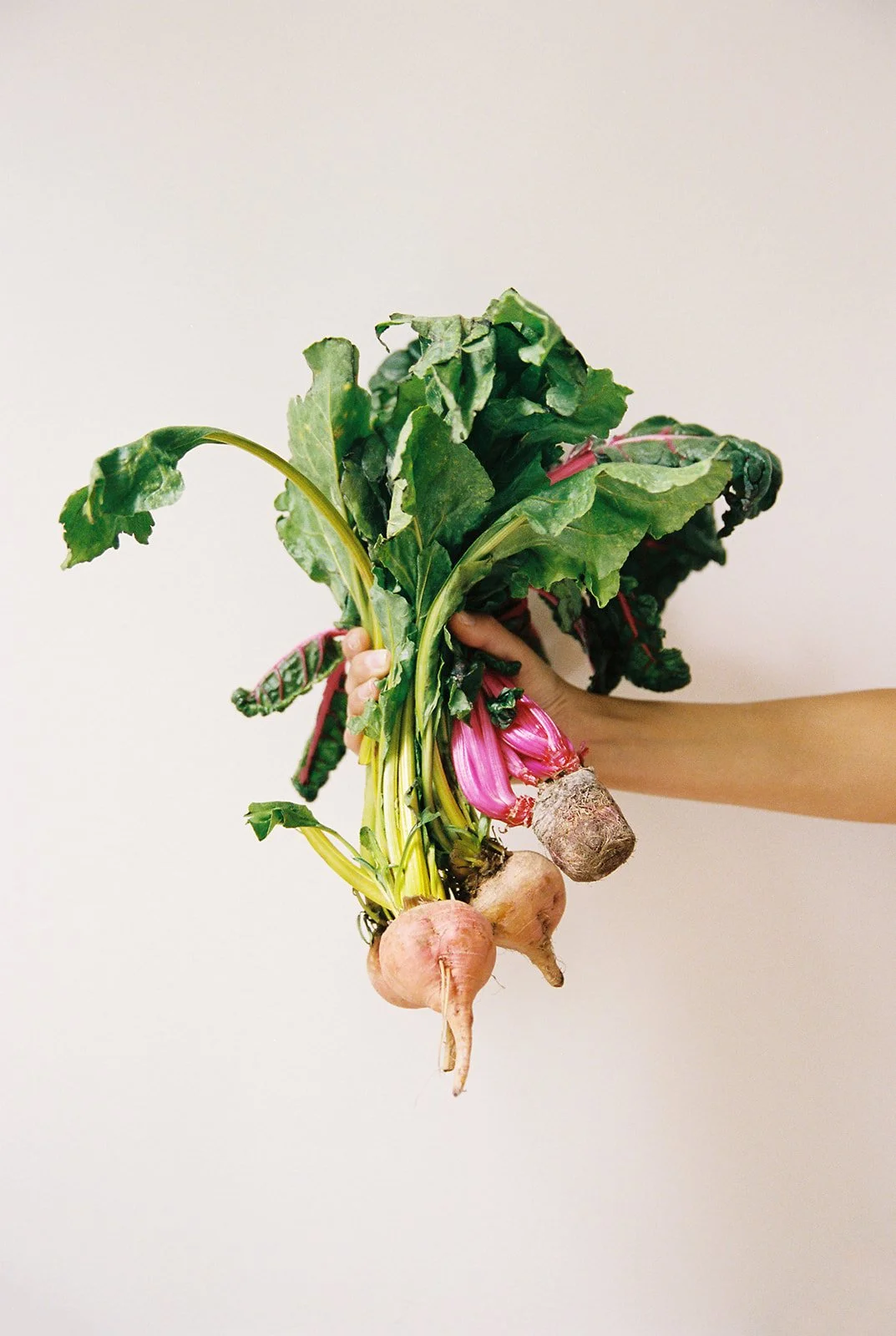 Person holding a bunch of fresh beets with green leaves and pink stems against a plain white background.