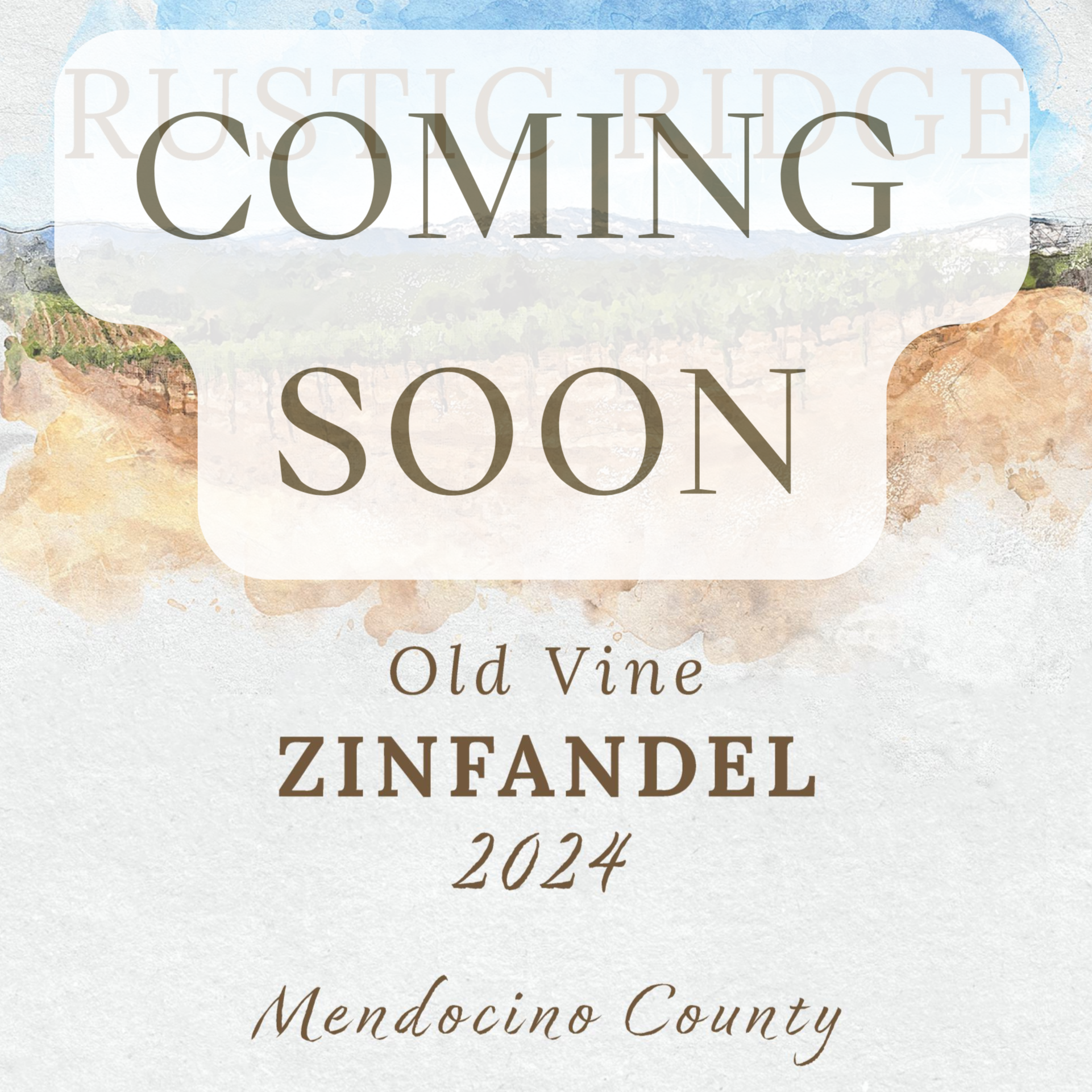 2024 Old Vine Zinfandel