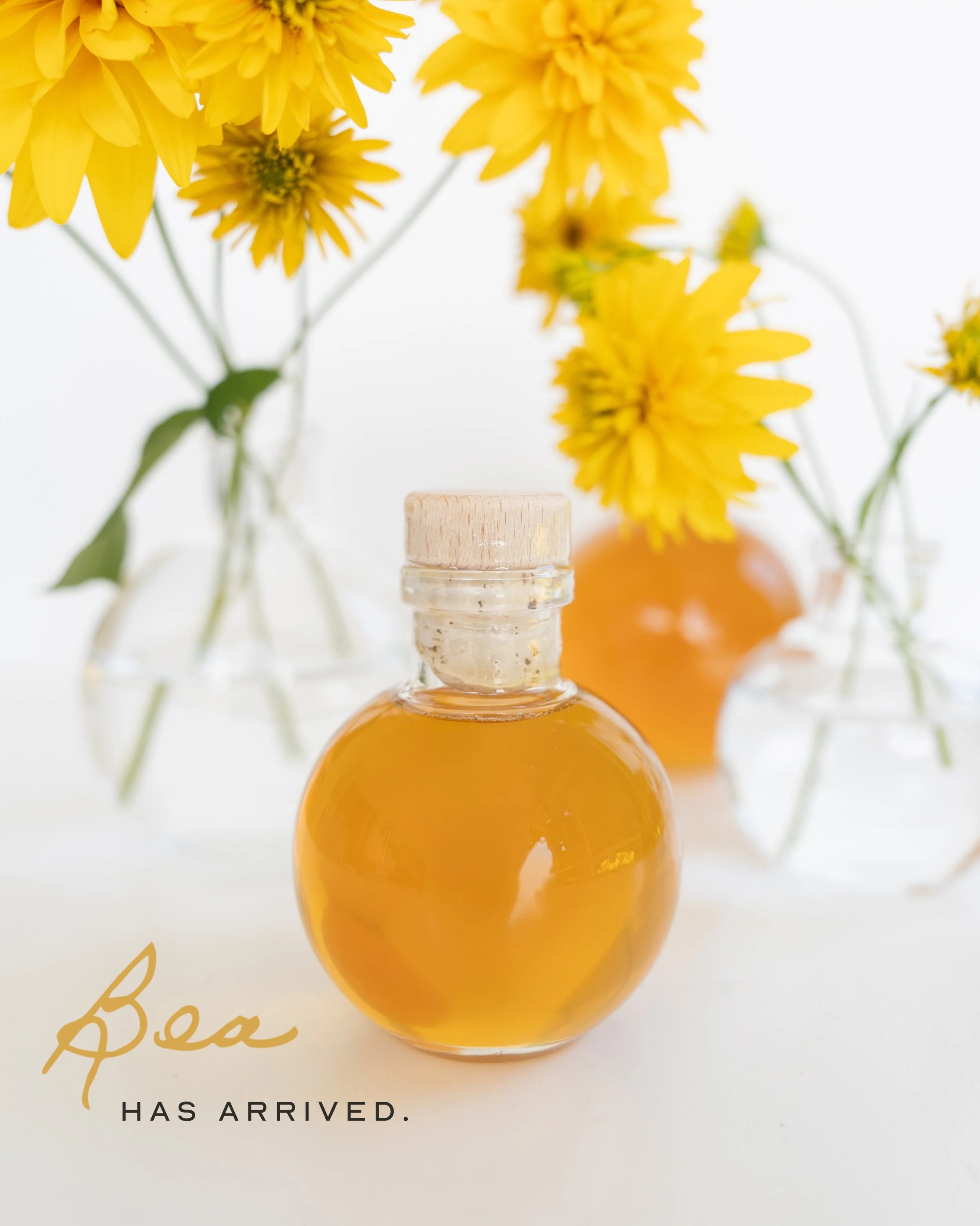 𖤜 Bea is officially here. 𖤜

After months of dreaming, harvesting, and pouring our hearts into every detail, our little honey shop is ready to share with you.

Inspired by the moments that bring us together, we hope Bea becomes part of your morning