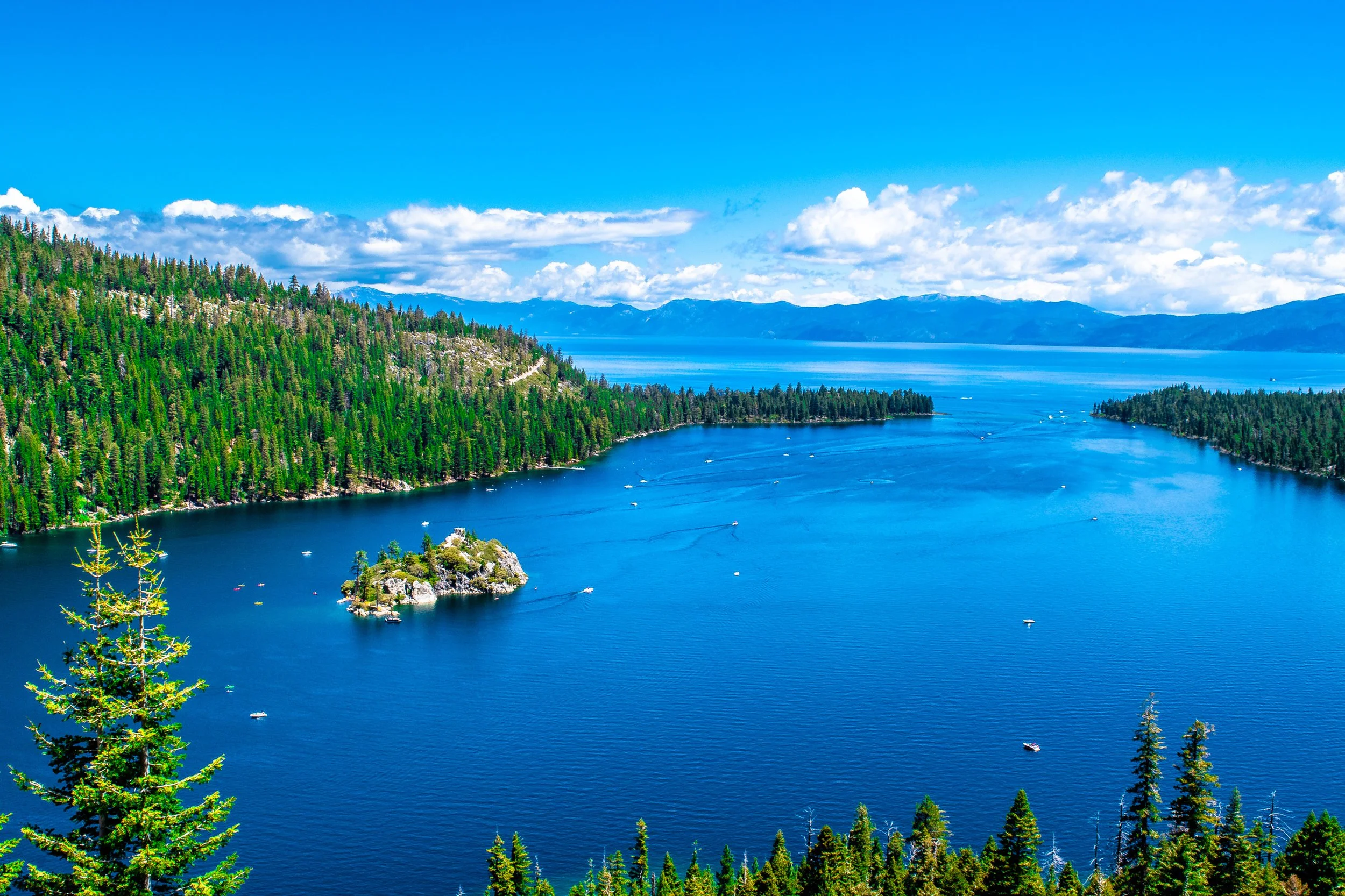 Airbnb co-host services for independent vacation rental owners in North Lake Tahoe