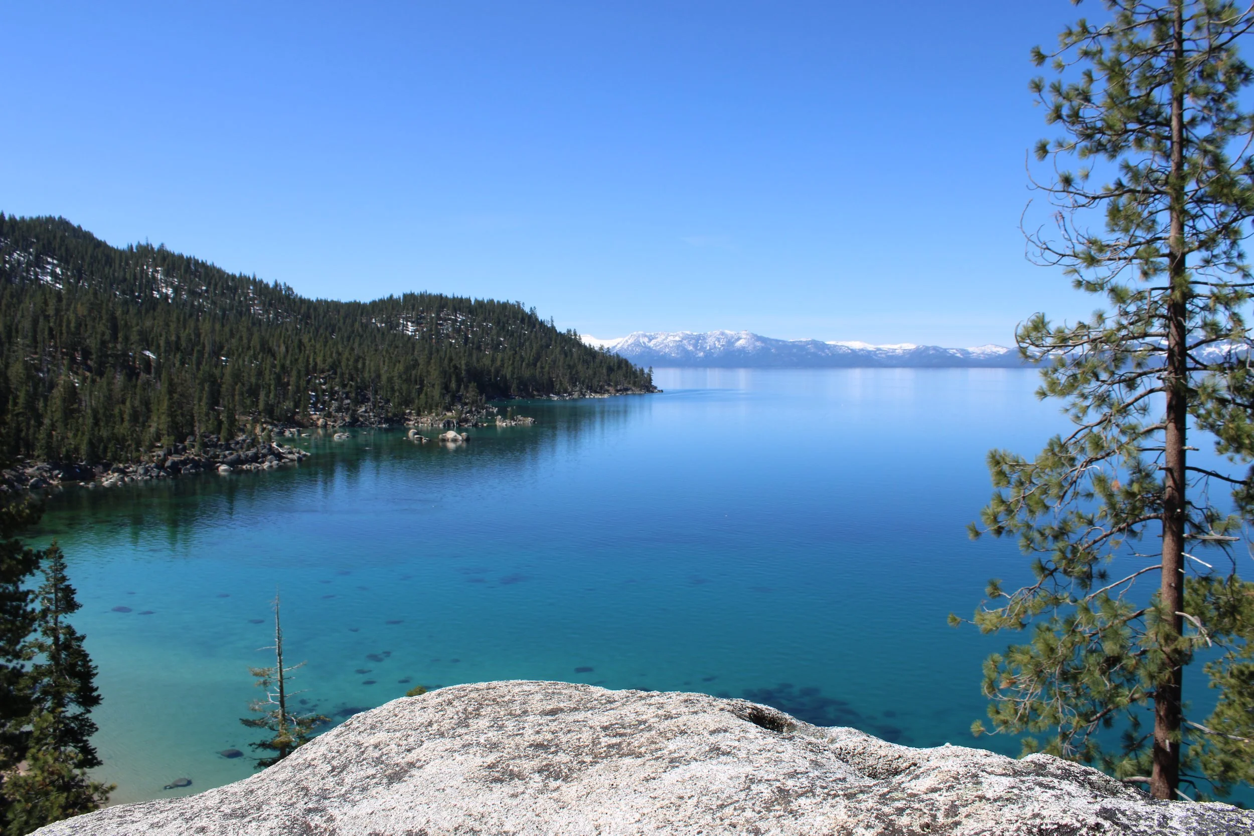 Personalized co-hosting and hospitality support for luxury vacation homes