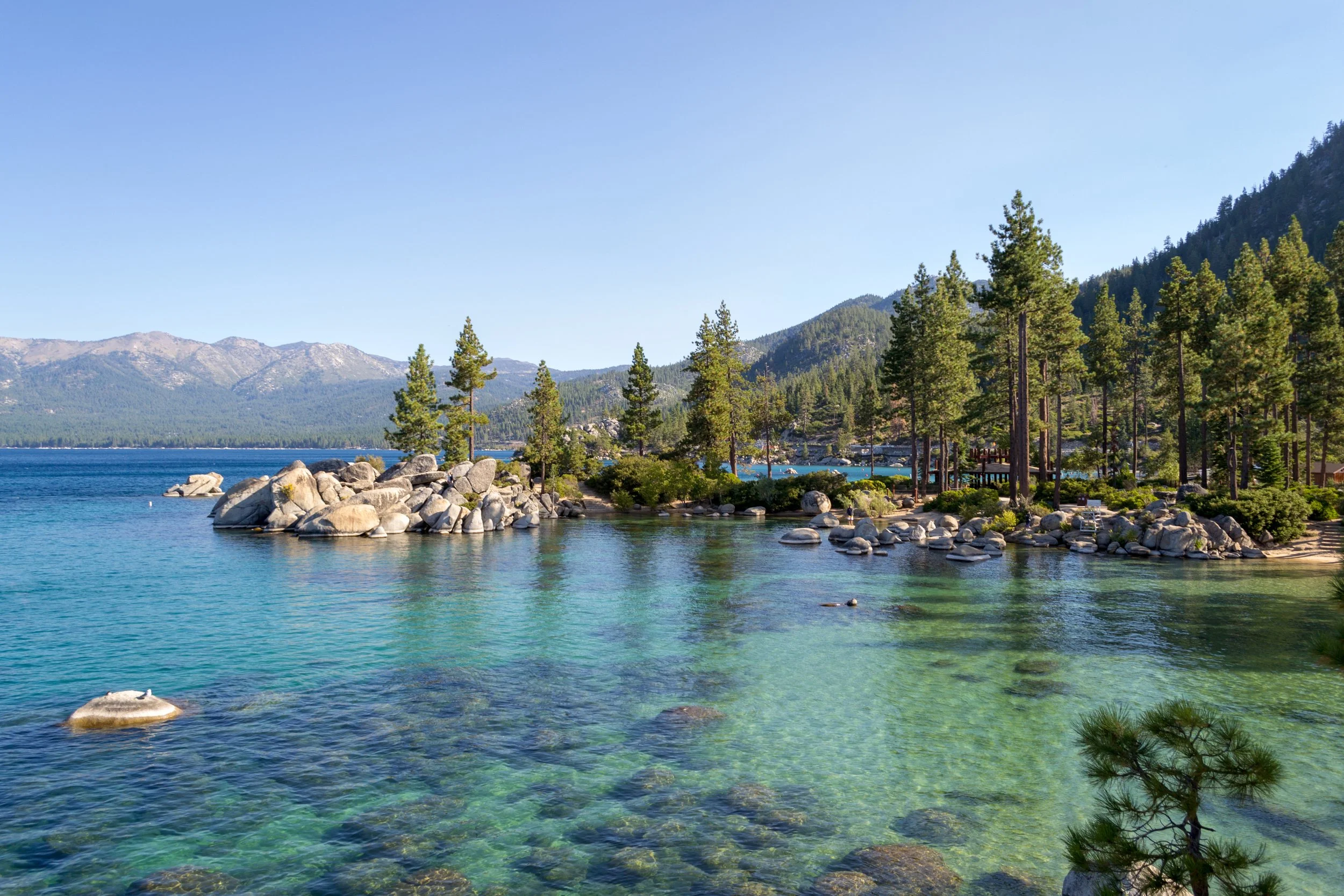 Vacation rental co-hosting and Hospitality Intelligence for independent owners in North Lake Tahoe