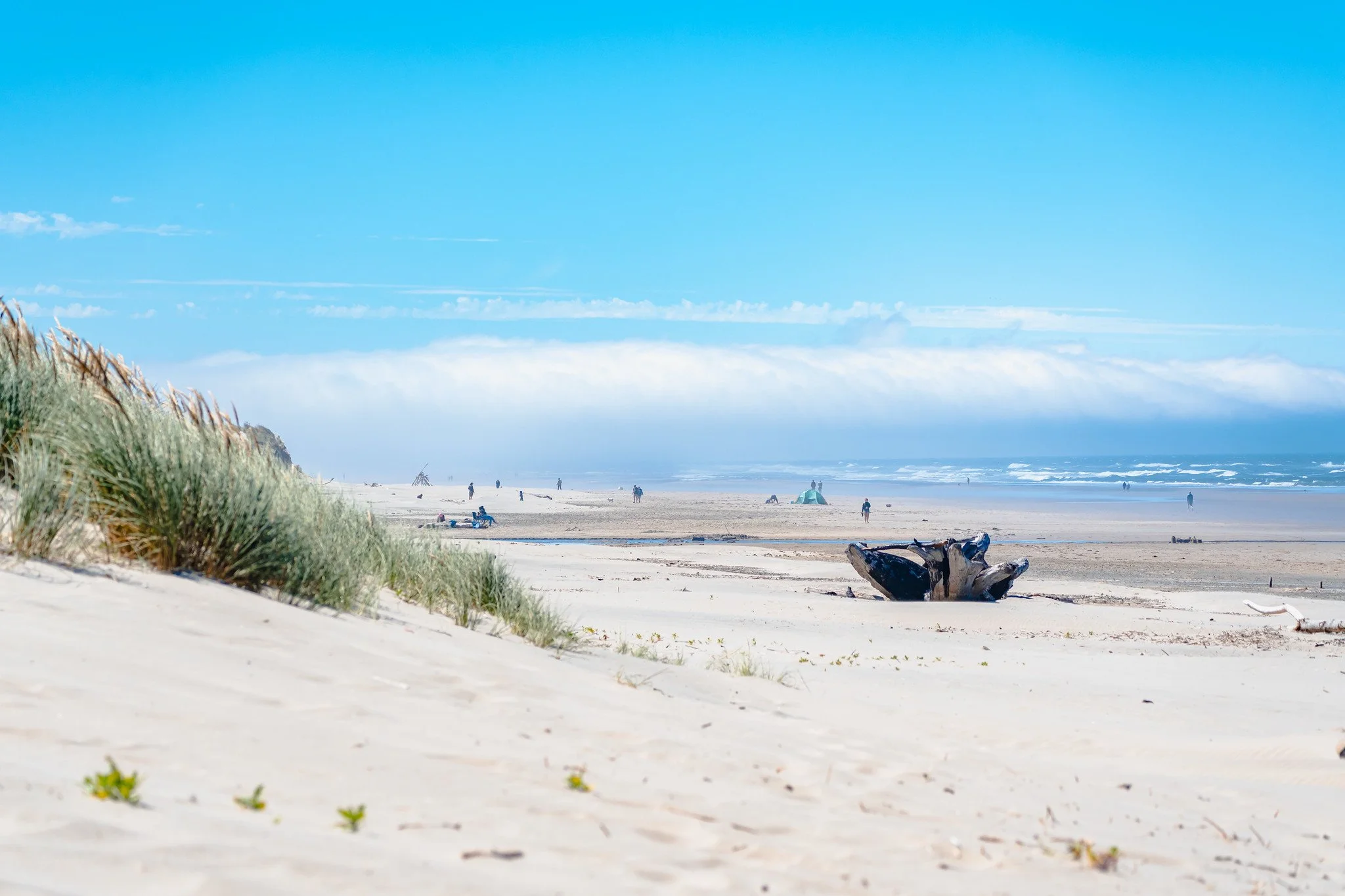 A sandy beach with some grass in the foreground, a few people relaxing and walking, a driftwood piece, and a blue sky with clouds over the ocean in the background.