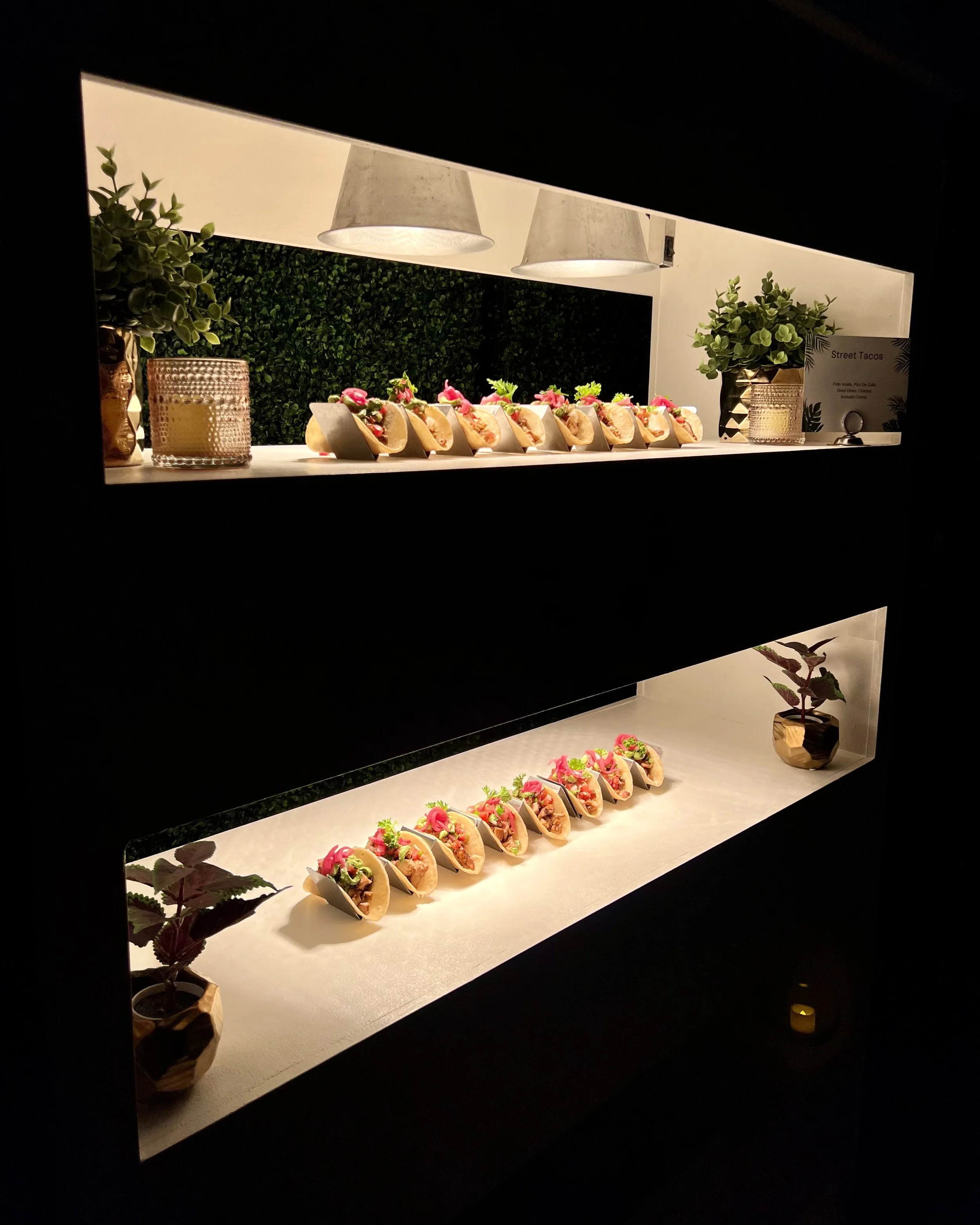 Display shelf with tacos, green plants, and decorative items in a dimly lit setting.